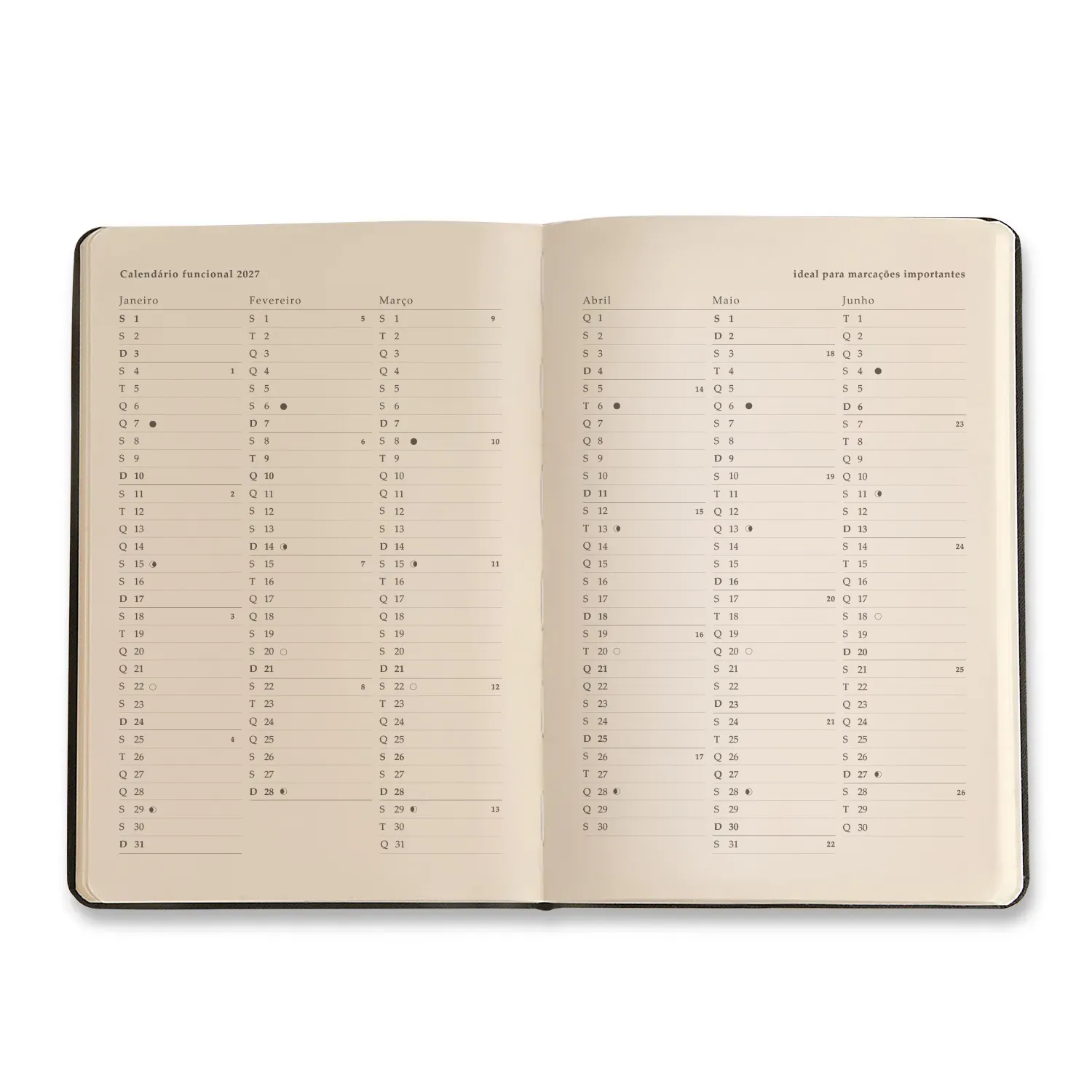 Agenda Planner 2027 Petit Semanal Anotações 14x21 Amor