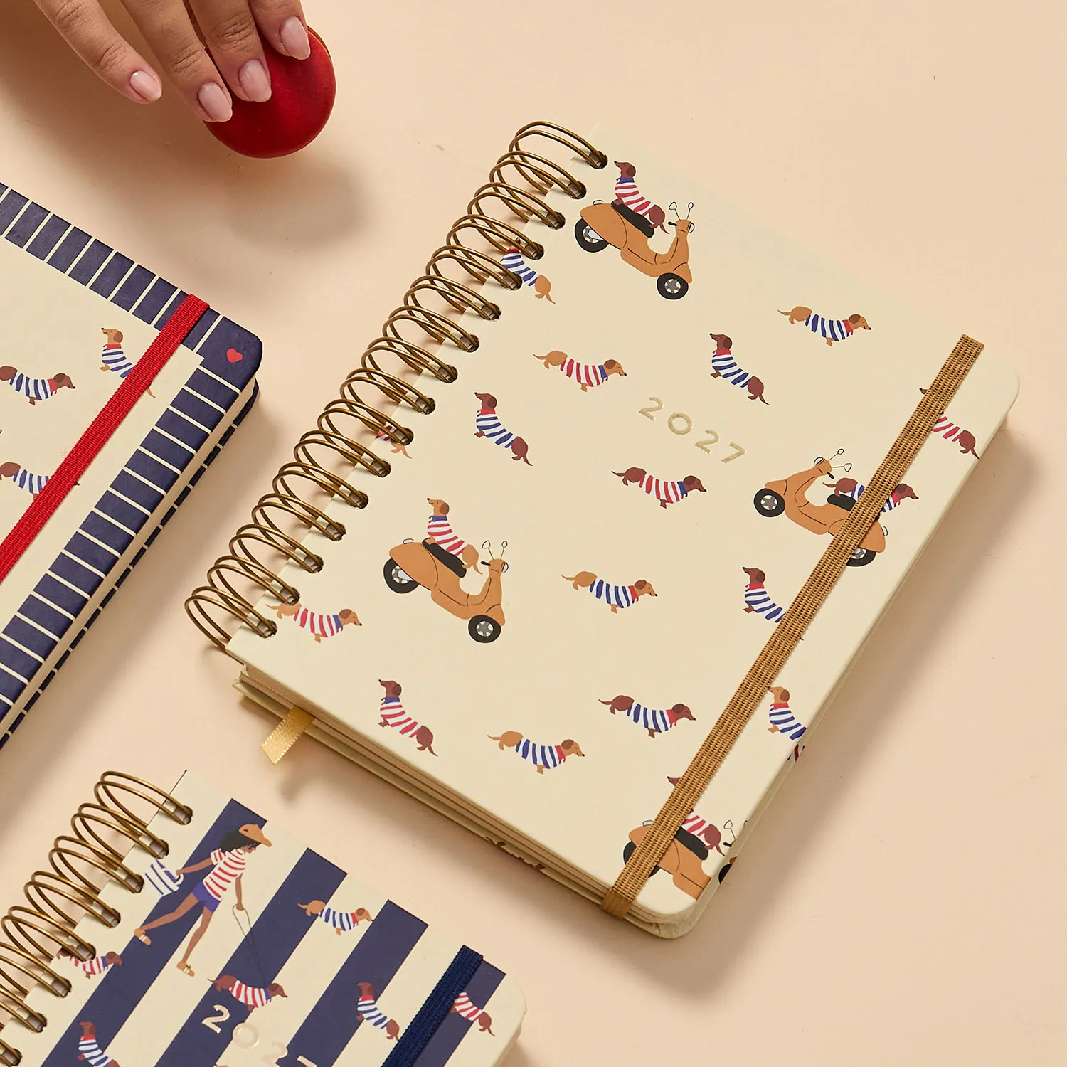 Agenda Planner Wire-o 2027 Petit Diária A5 Lambreta