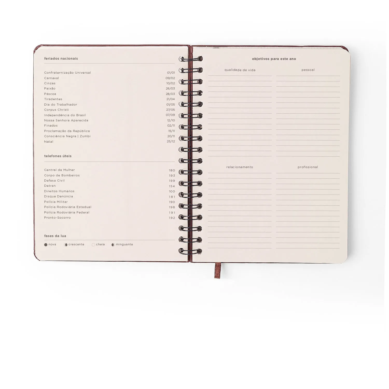 Agenda Planner Wire-o 2027 Petit Semanal Planejamento 17x24 Lambreta