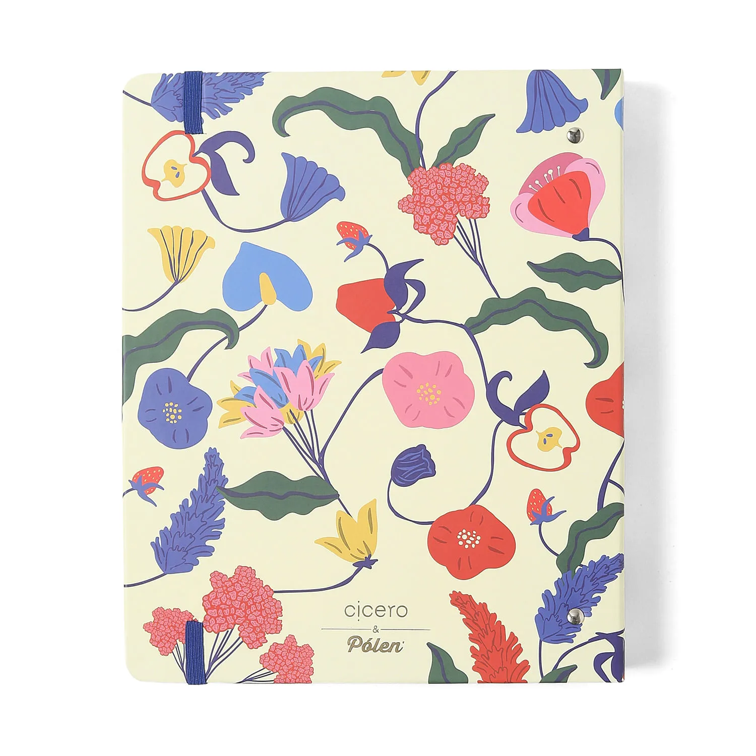 Caderno Criativo Argolado Doce Florada Pautado 17x24 Off White