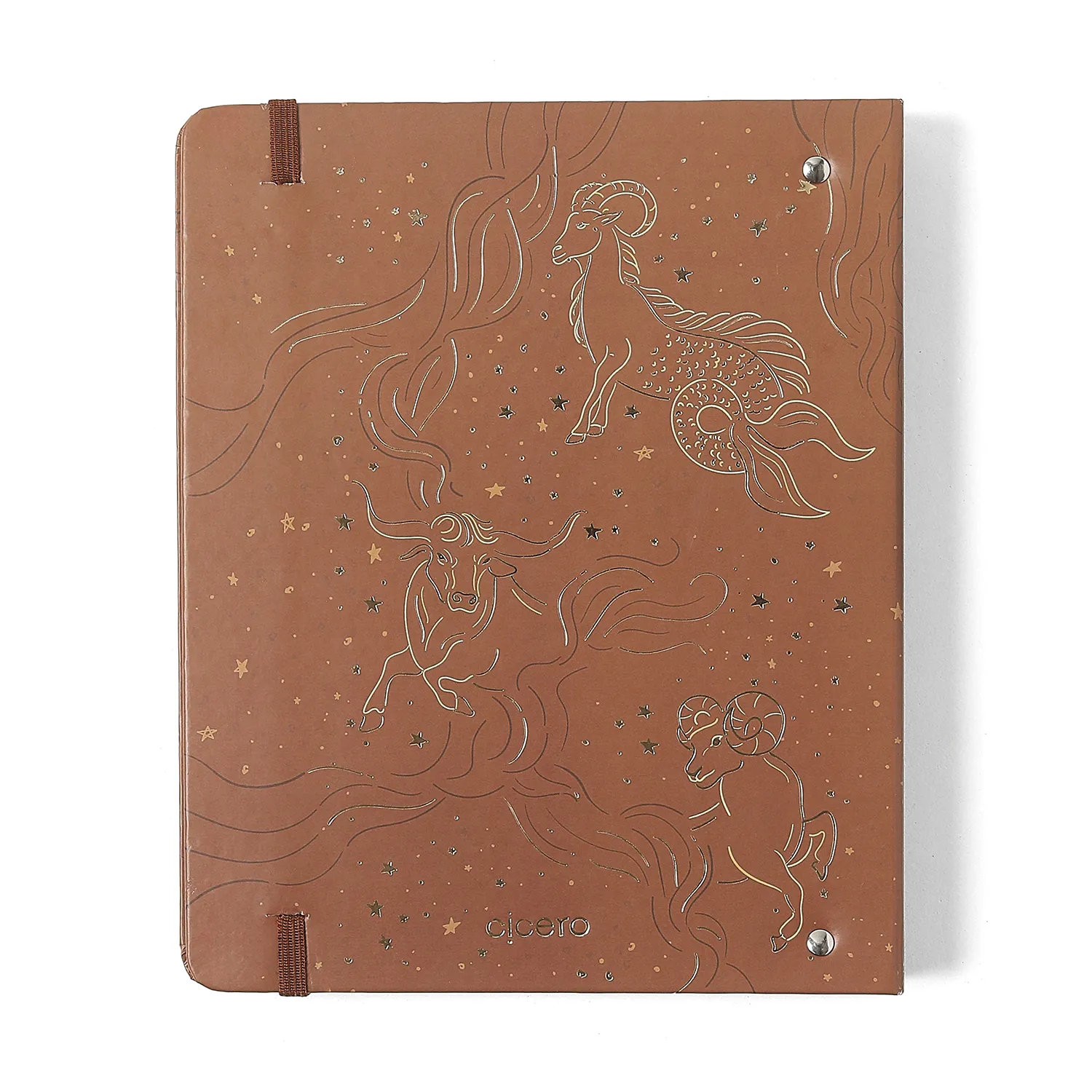 Caderno Criativo Argolado Office Duo Origens Pautado & Pontado A5 Terra