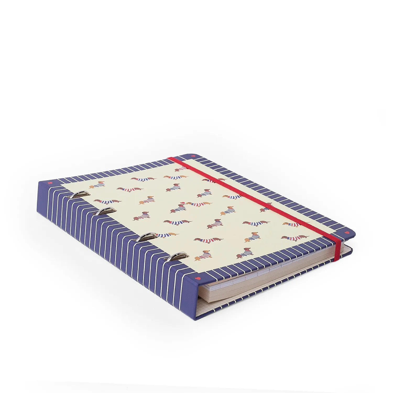Caderno Criativo Argolado Petit Pautado 17x24 Moldura