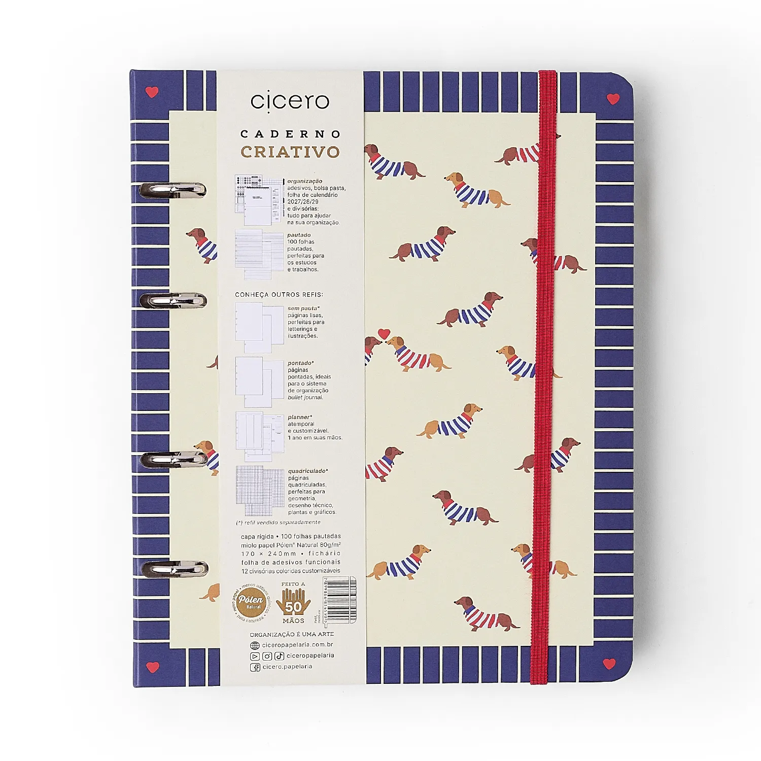 Caderno Criativo Argolado Petit Pautado 17x24 Moldura