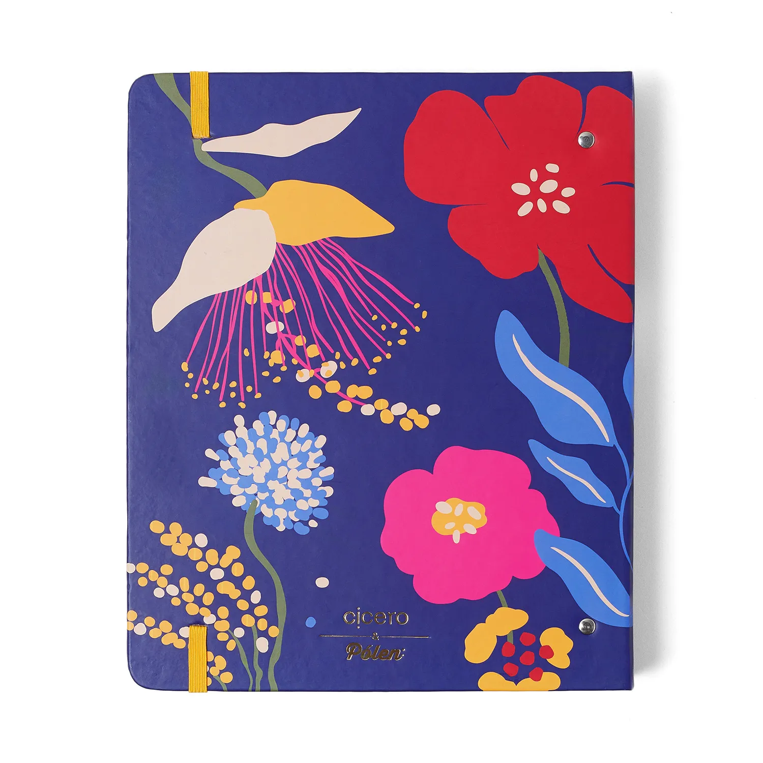 Caderno Criativo Argolado Pólen Pautado 17x24 Aromas Azul