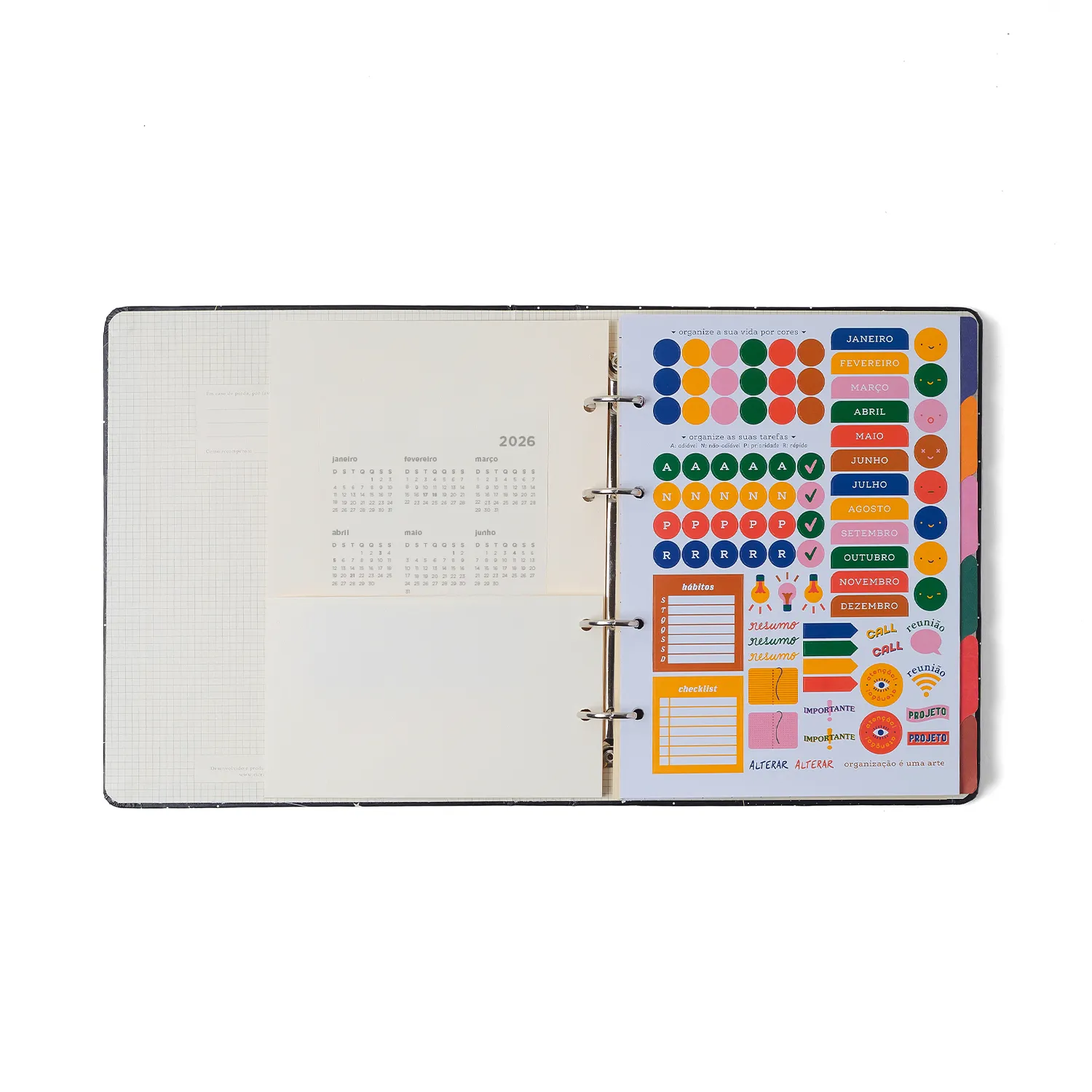 Caderno Criativo Argolado Praia Pautado 17x24 Cachorros