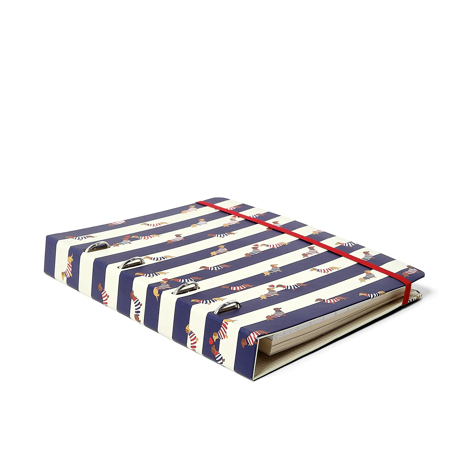 Caderno Criativo Argolado Praia Pautado 17x24 Cachorros