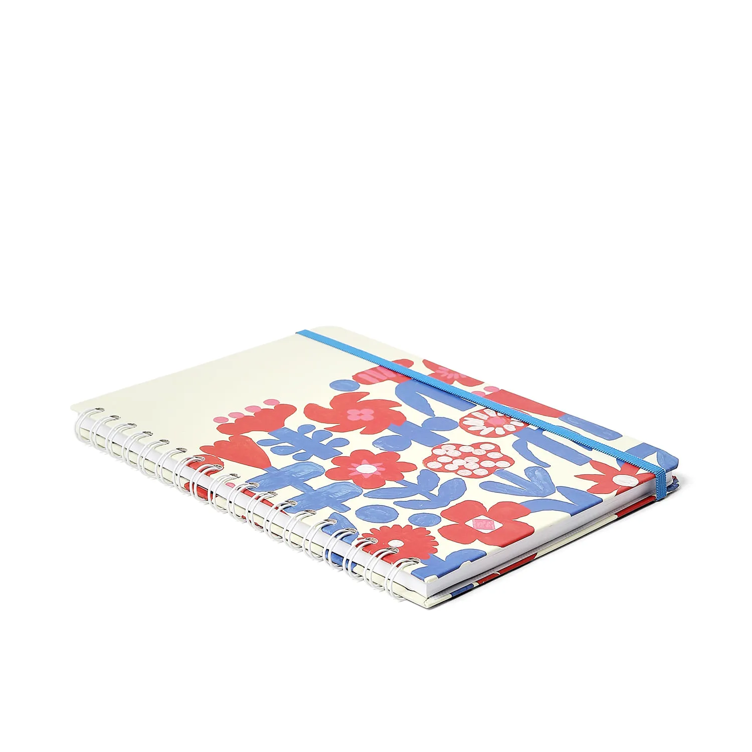 Caderno Espiral Cicero® & Fábula Pautado 17,3x24 Frozão 1 Matéria 80 fls