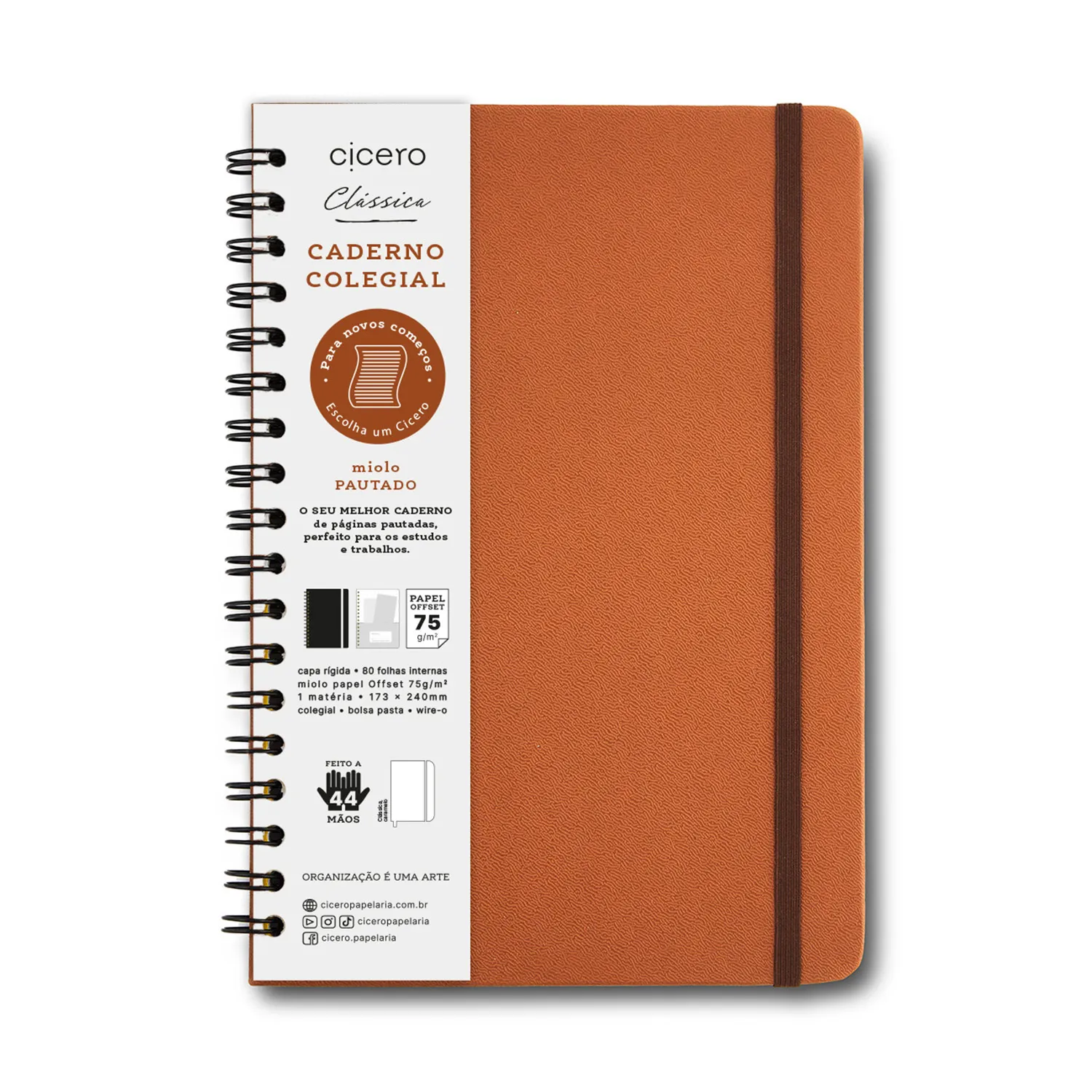 Caderno Espiral Colegial Clássica Pautado Caramelo 1 Matéria 80 fls