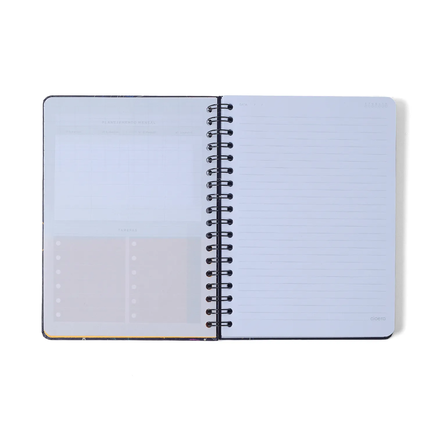 Caderno Espiral Colegial Melissa Pautado Casinha das Abelhas 10 Matérias 160 fls