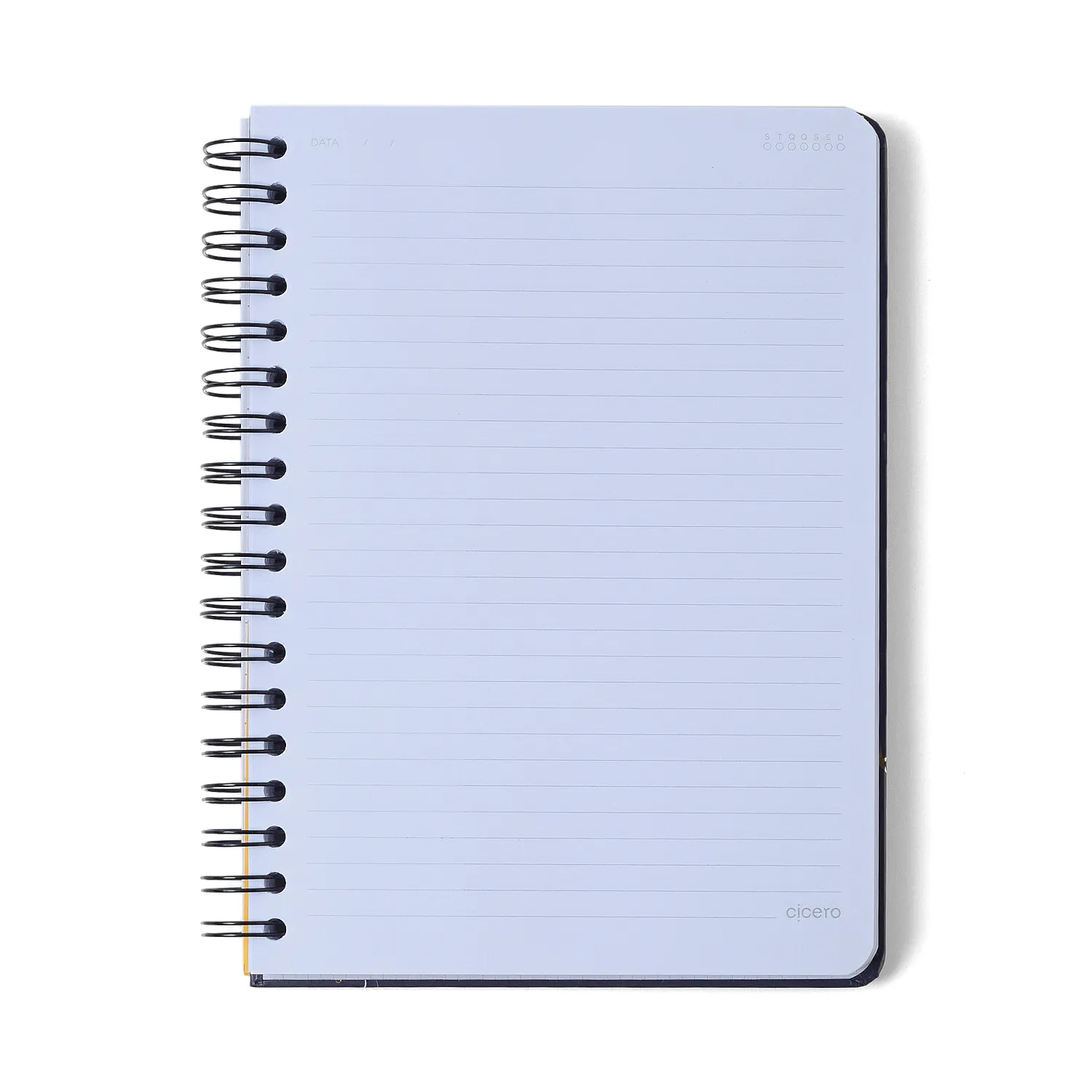 Caderno Espiral Colegial Melissa Pautado Casinha das Abelhas 10 Matérias 160 fls