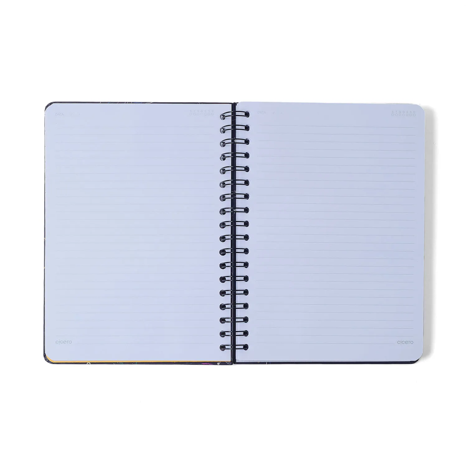 Caderno Espiral Doce Florada Pautado 17,3x24 Azul 10 Matérias 160 fls
