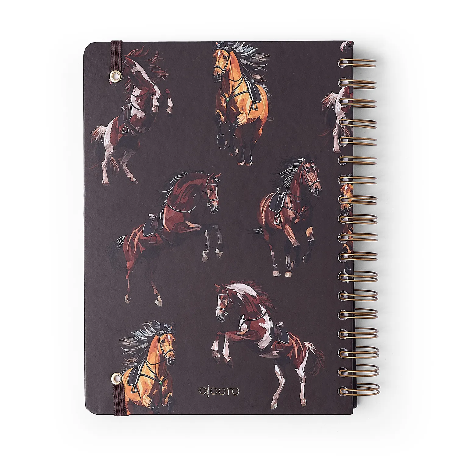 Caderno Espiral Haras Pautado 17x24 Alazão 10 Matérias 160 fls