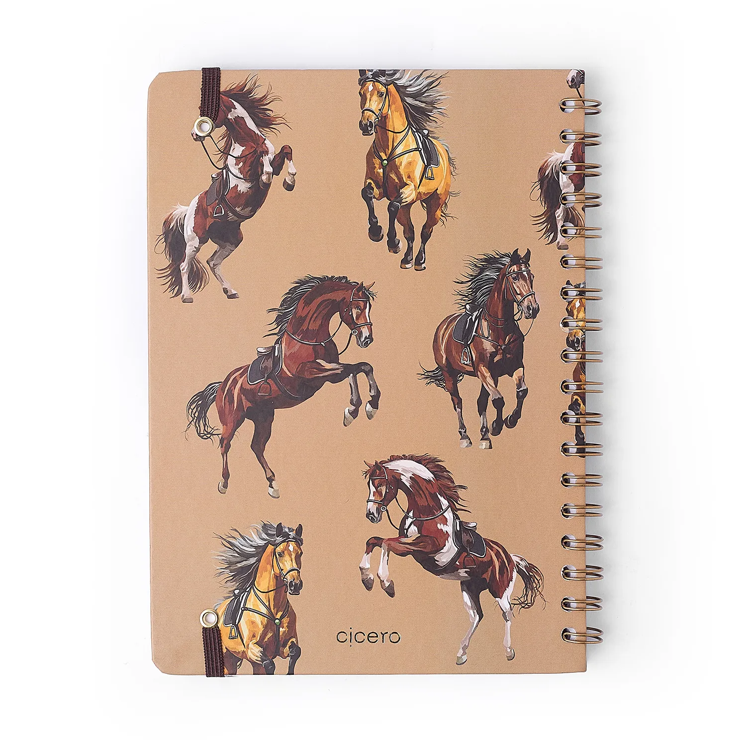 Caderno Espiral Haras Pautado 17x24 Puro Sangue 1 Matéria 80 fls
