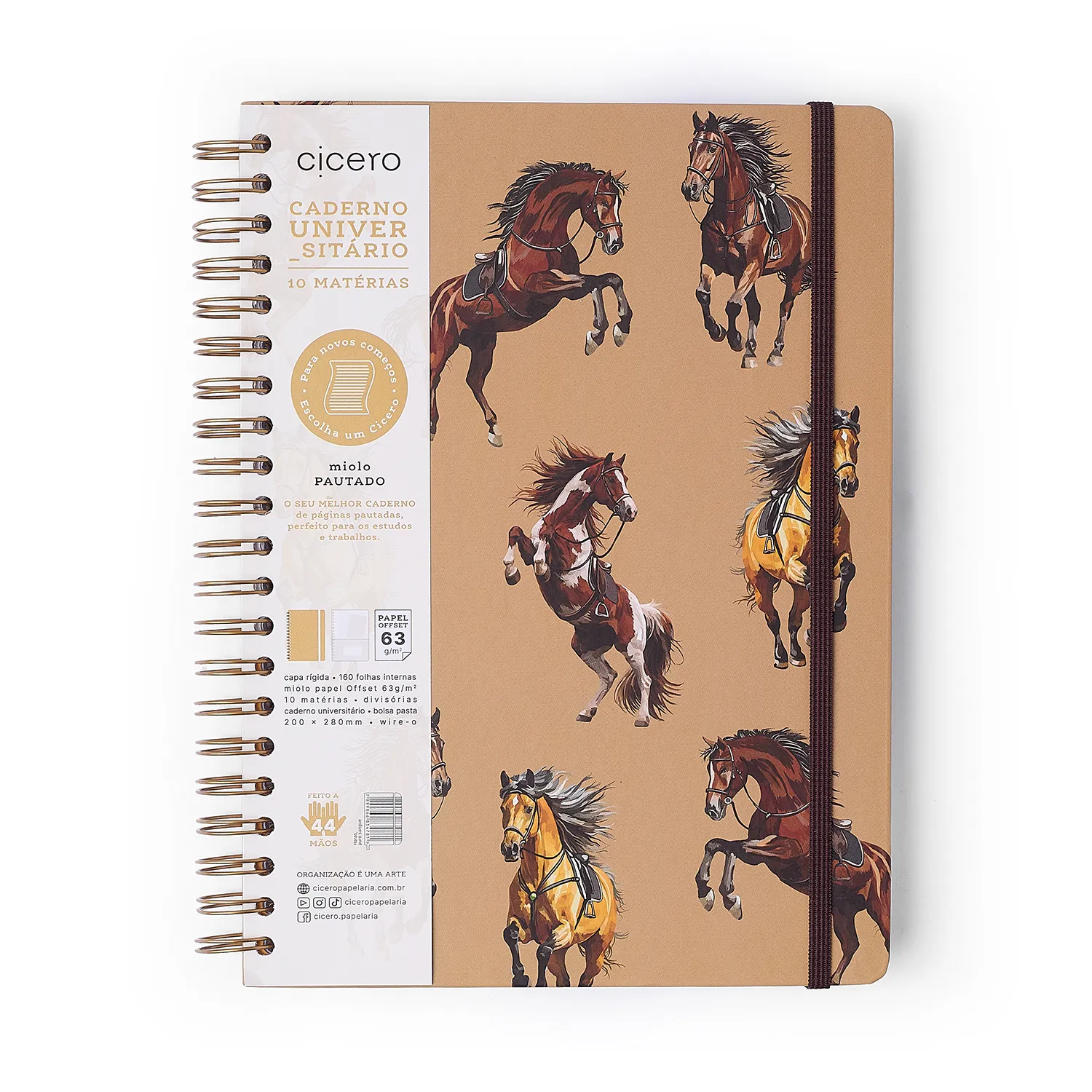 Caderno Espiral Haras Pautado 20x28 Puro Sangue 10 Matérias 160 fls