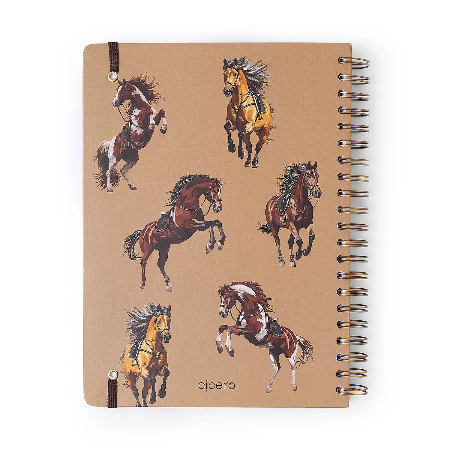 Caderno Espiral Haras Pautado 20x28 Puro Sangue 10 Matérias 160 fls