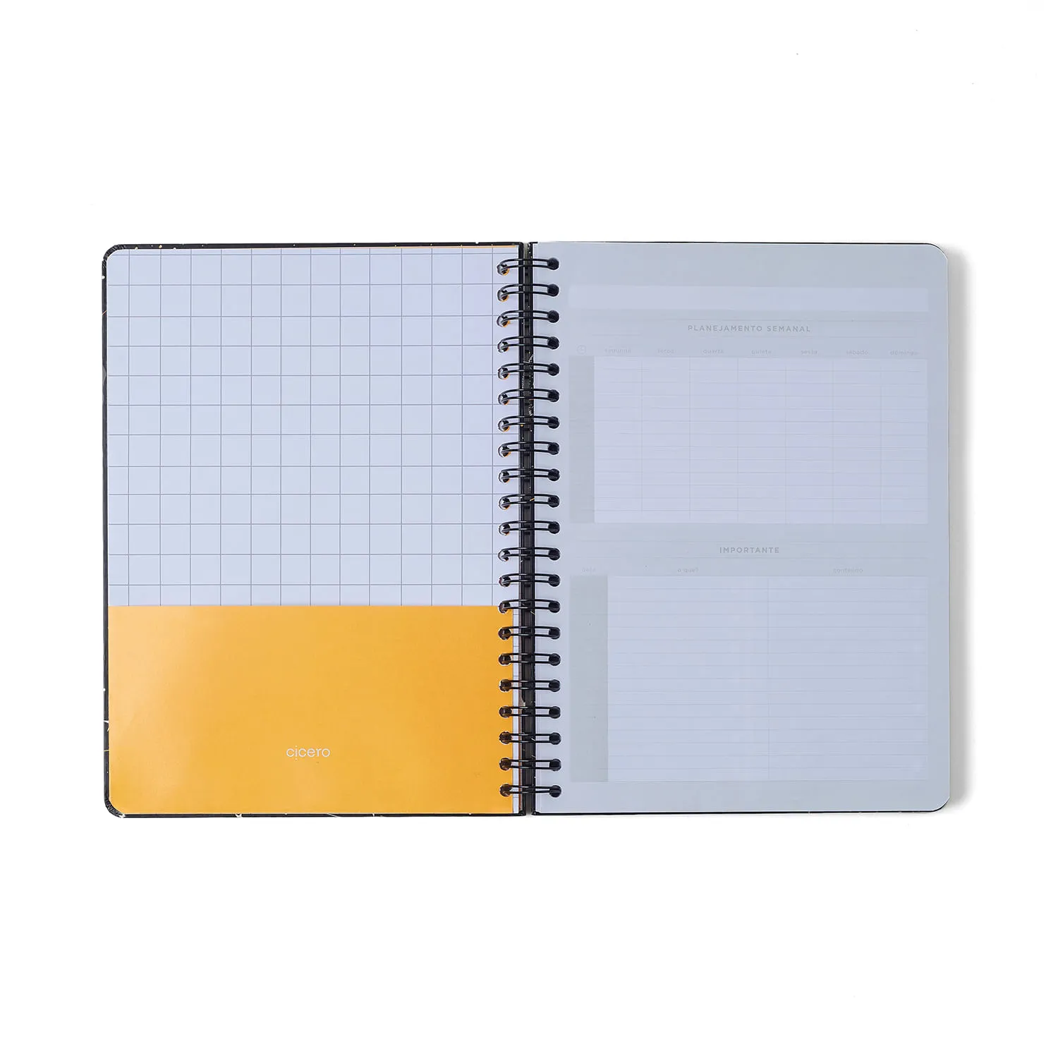Caderno Espiral Libélulas Pautado 20x27,5 Preto 10 Matérias 160 fls