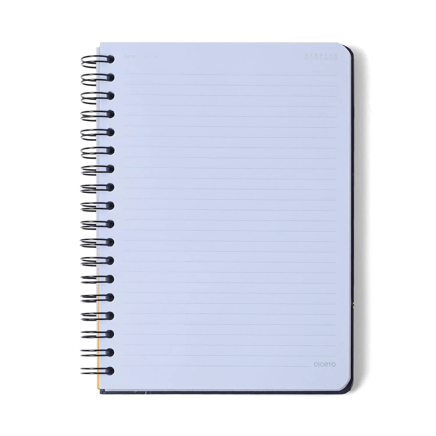 Caderno Espiral Melissa Pautado 17,3x24 Max Bloomy 10 Matérias 160 fls