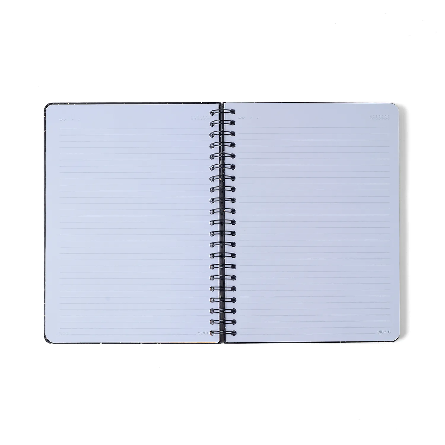 Caderno Espiral Melissa Pautado 20x28 Mini Bloomy Manteiga 10 Matérias 160 fls
