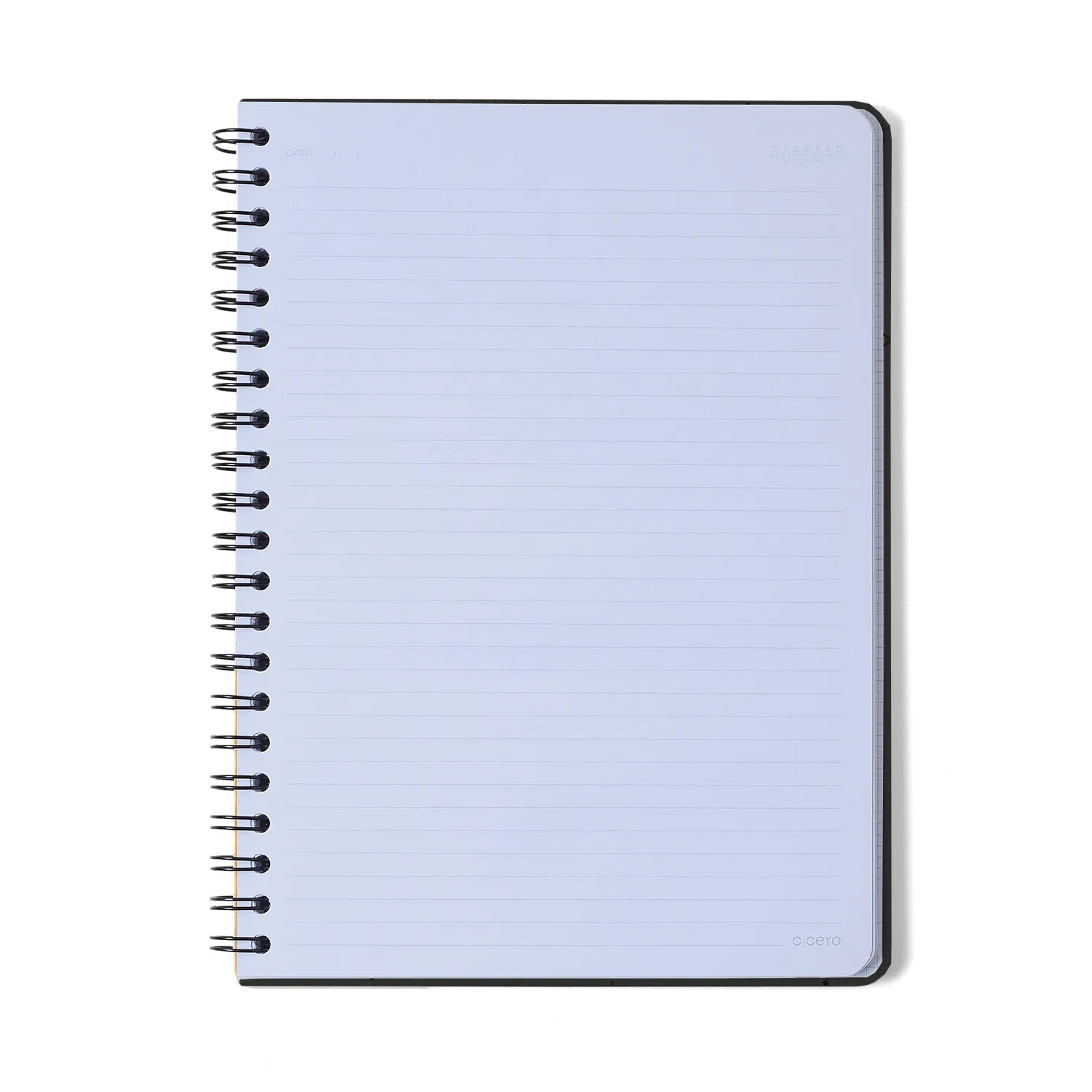 Caderno Espiral Melissa Pautado 20x28 Mini Bloomy Pistache 1 Matéria 80 fls