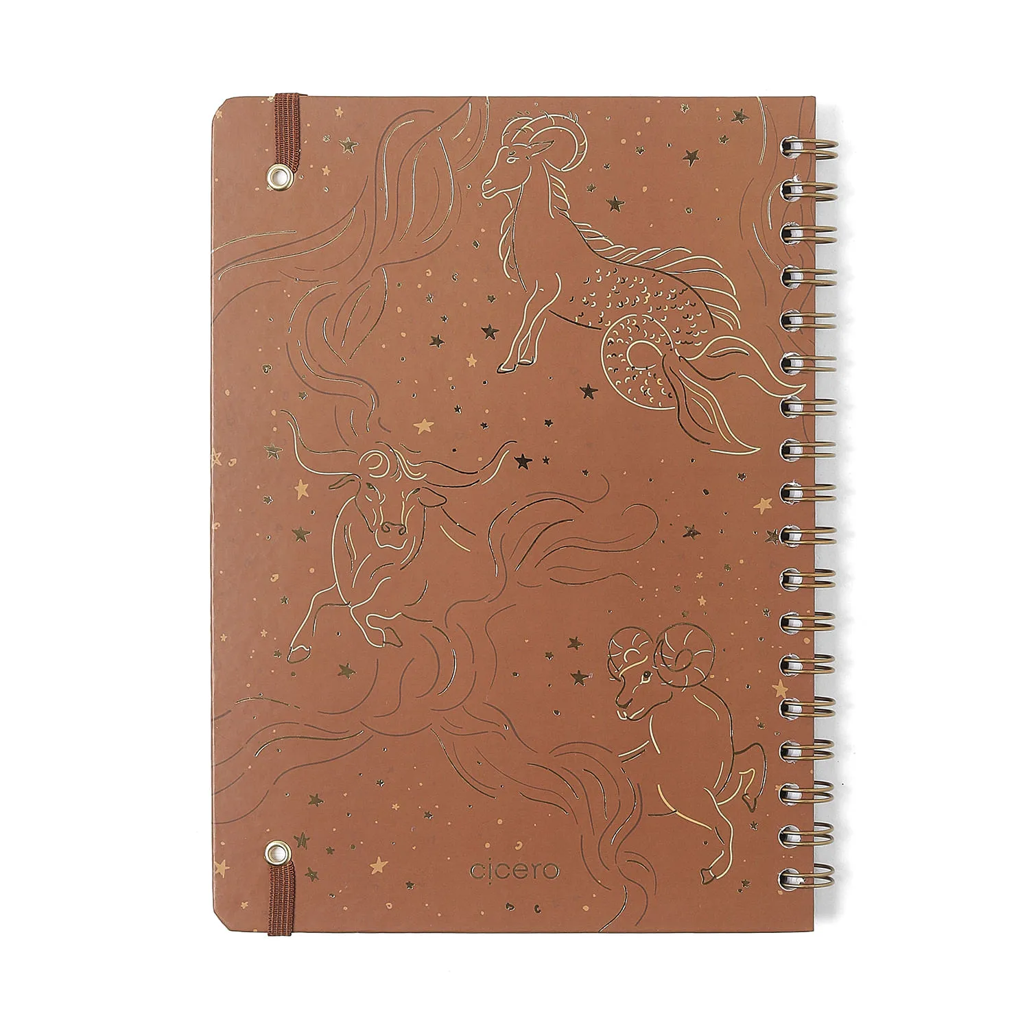 Caderno Espiral Origens Pautado 17,3x24 Terra 1 Matéria 80 fls