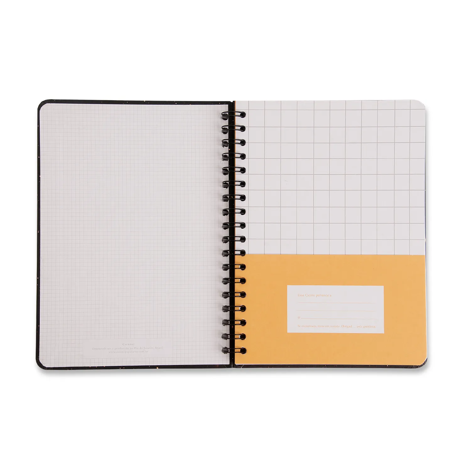 Caderno Espiral Petit Pautado 17x24 Amor 1 Matéria 80 fls