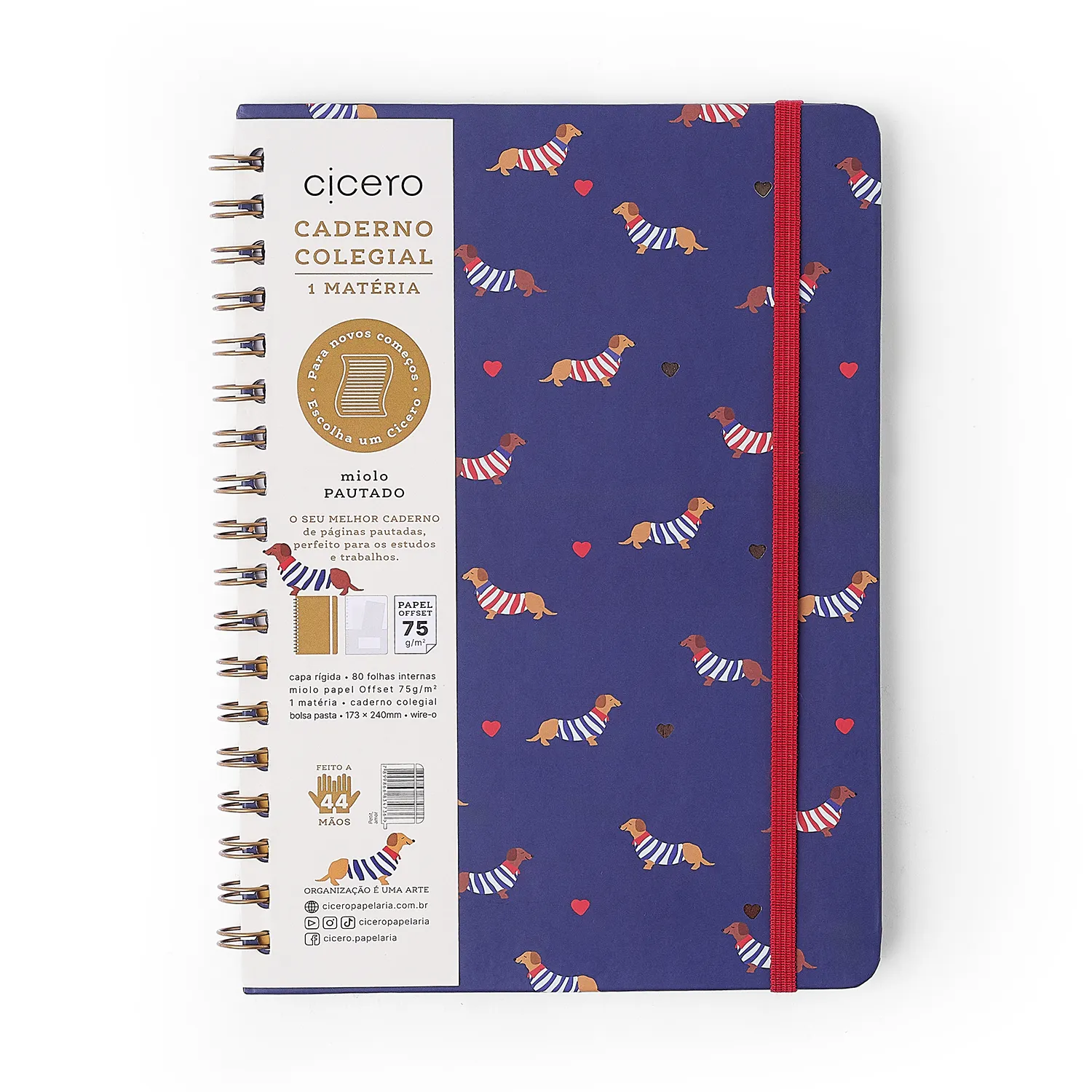 Caderno Espiral Petit Pautado 17x24 Amor 1 Matéria 80 fls