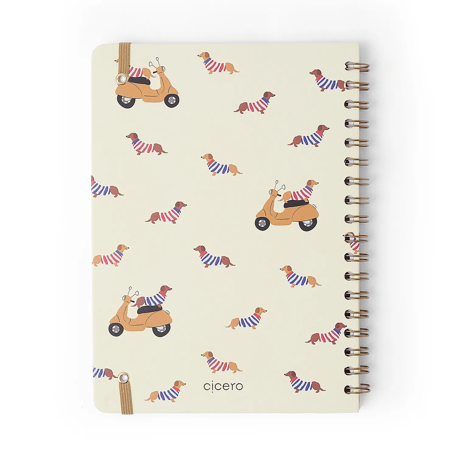 Caderno Espiral Petit Pautado 17x24 Lambreta 1 Matéria 80 fls