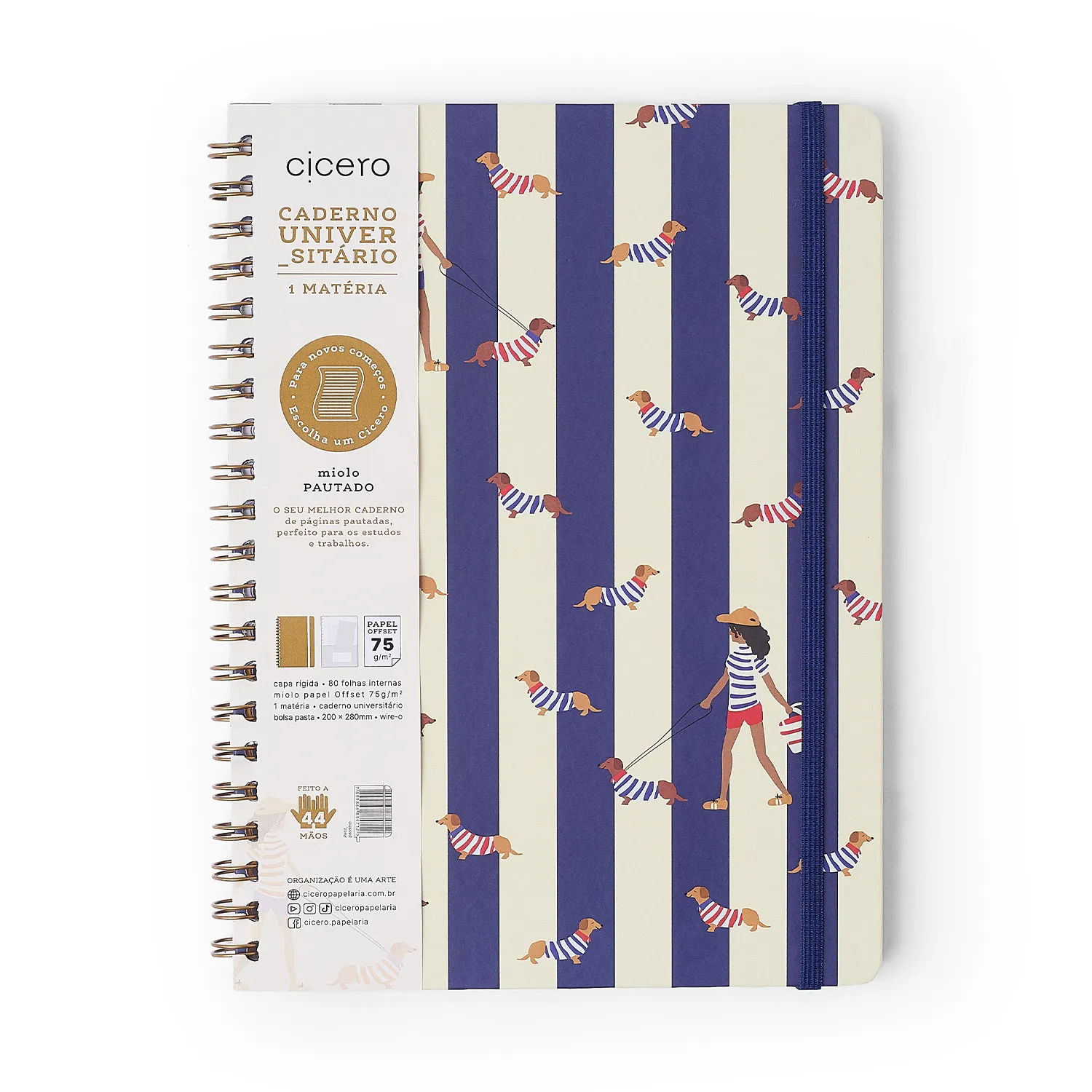Caderno Espiral Petit Pautado 20x28 Passeio 1 Matéria 80 fls