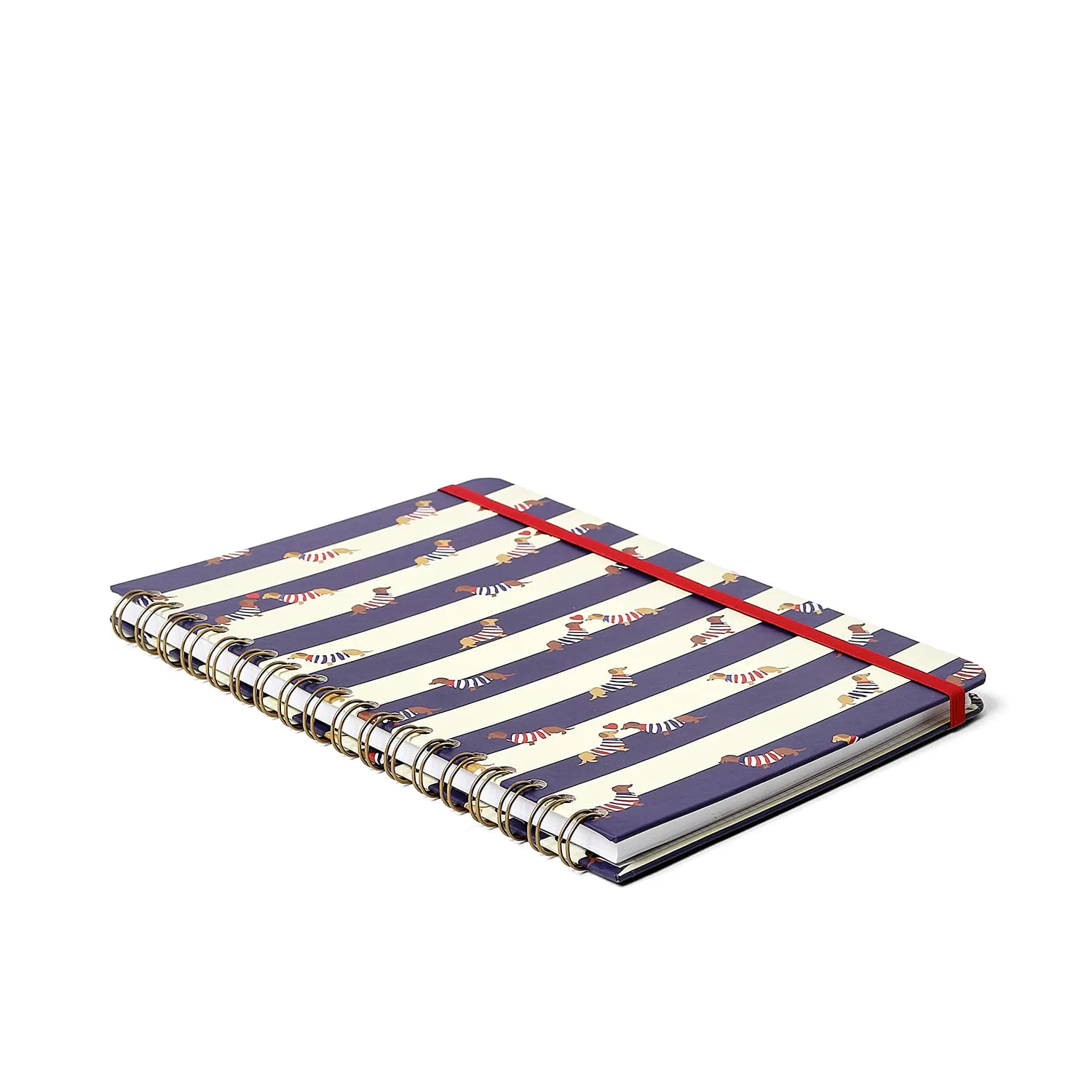 Caderno Espiral Praia Pautado 17,3x24 Cachorros 1 Matéria 80 fls