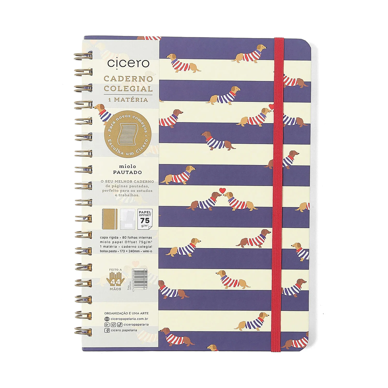Caderno Espiral Praia Pautado 17,3x24 Cachorros 1 Matéria 80 fls
