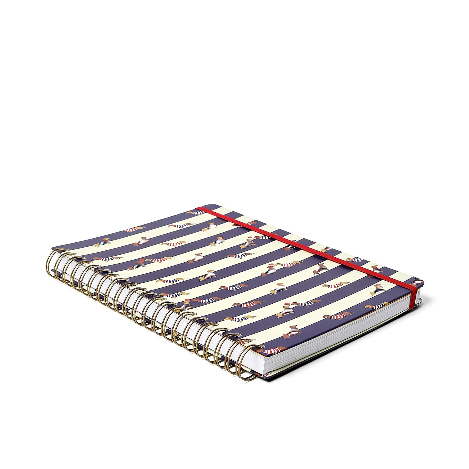 Caderno Espiral Praia Pautado 20x27,5 Cachorros 10 Matérias 160 fls