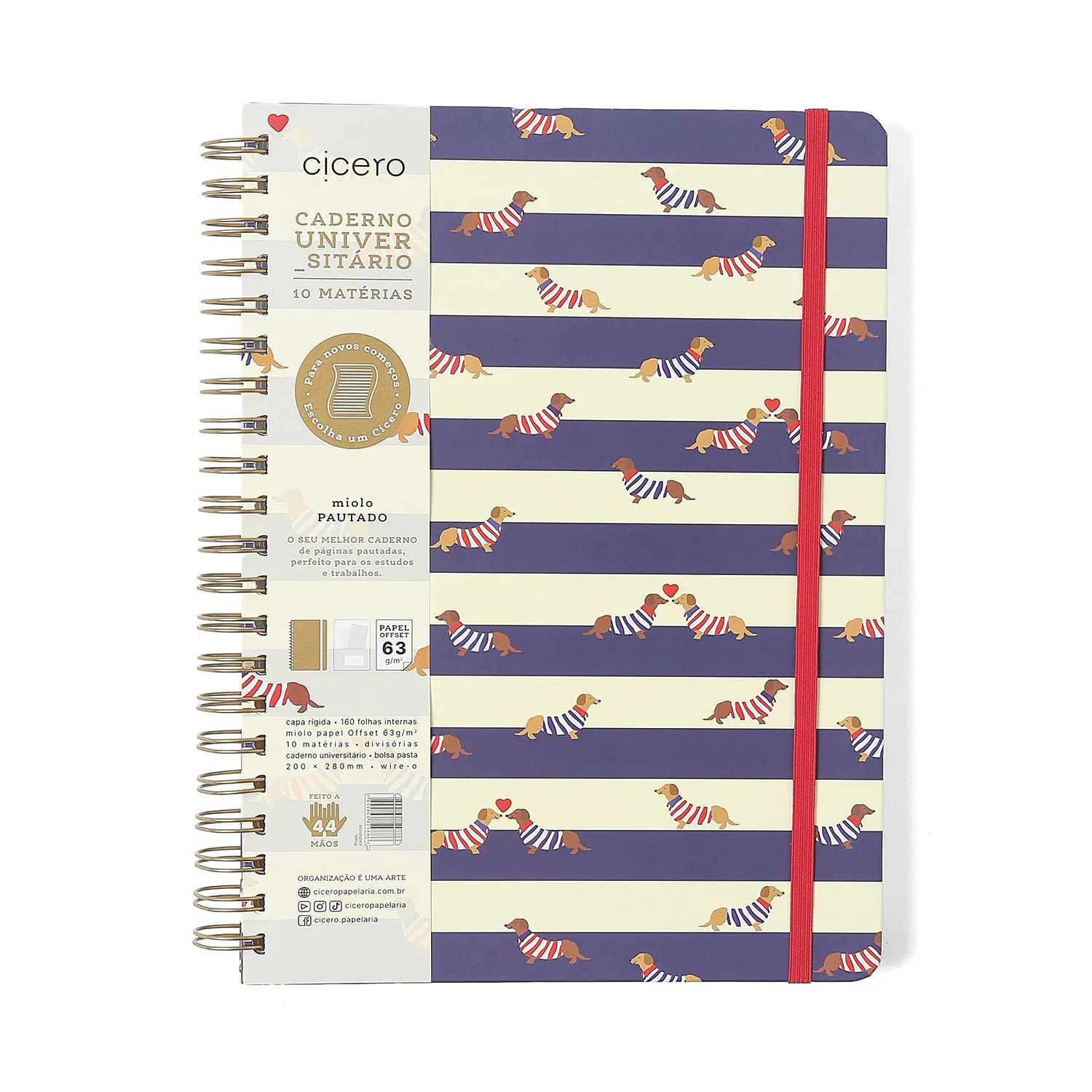 Caderno Espiral Praia Pautado 20x27,5 Cachorros 10 Matérias 160 fls