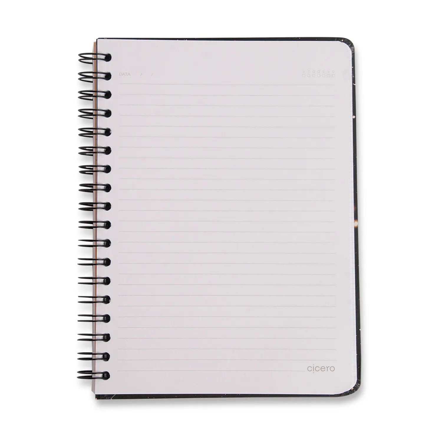 Caderno Espiral Relicário Pautado 17x24 Realeza Marinho 1 Matéria 80 fls