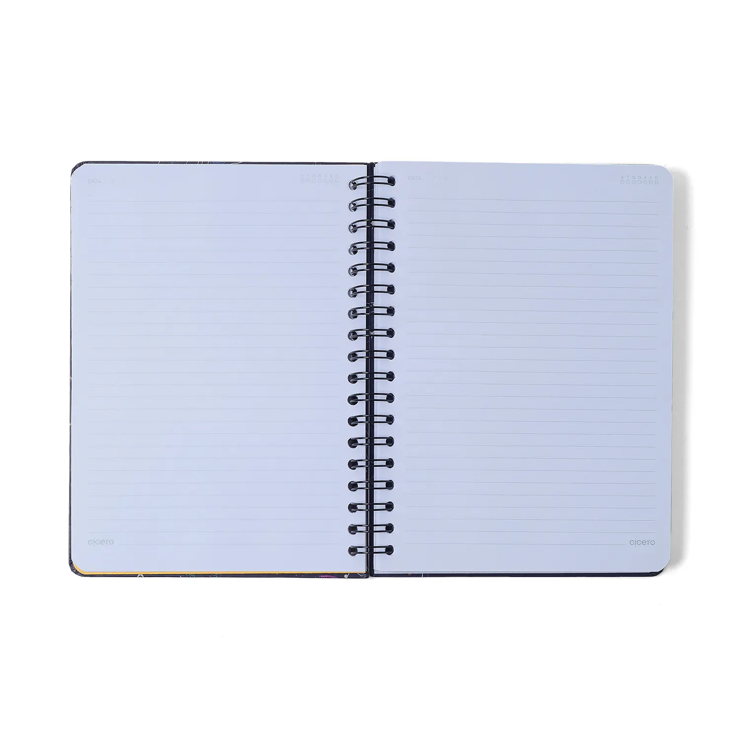 Caderno Espiral Relicário Pautado 17x24 Realeza Off White 10 Matérias 160 fls