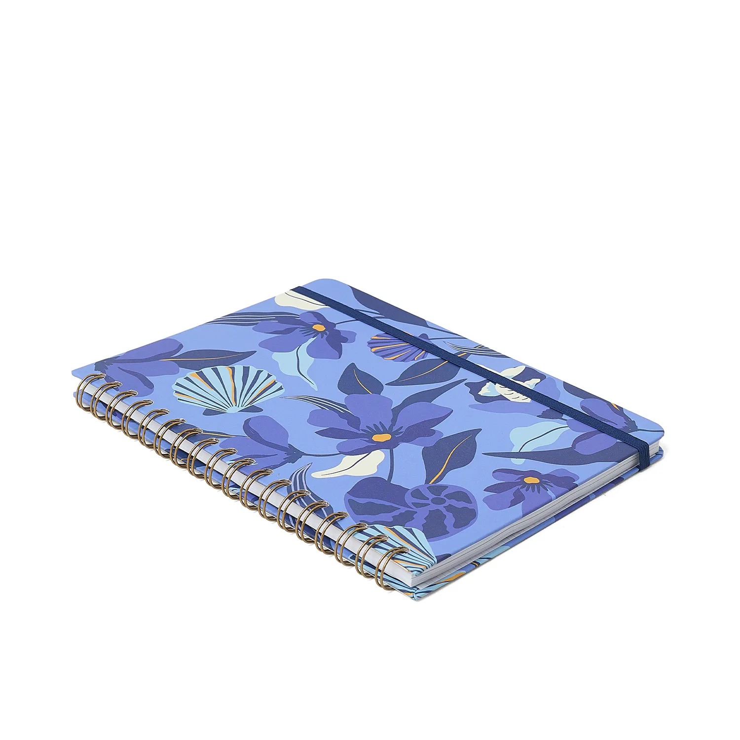 Caderno Espiral Trancoso Pautado 17x24 Azul 1 Matéria 80 fls
