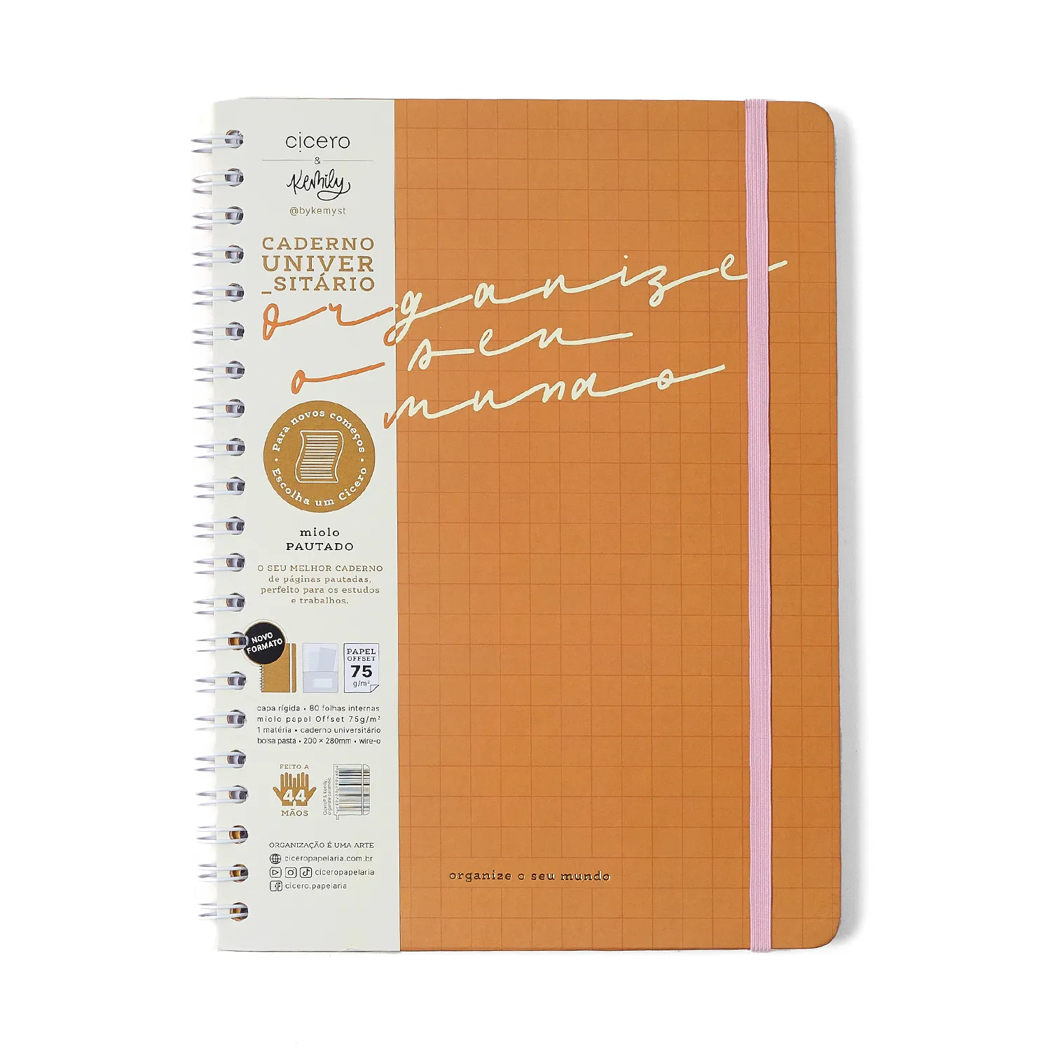 Caderno Espiral Universitário Kemily Pautado Organize Caramelo 1 Matéria 80 fls