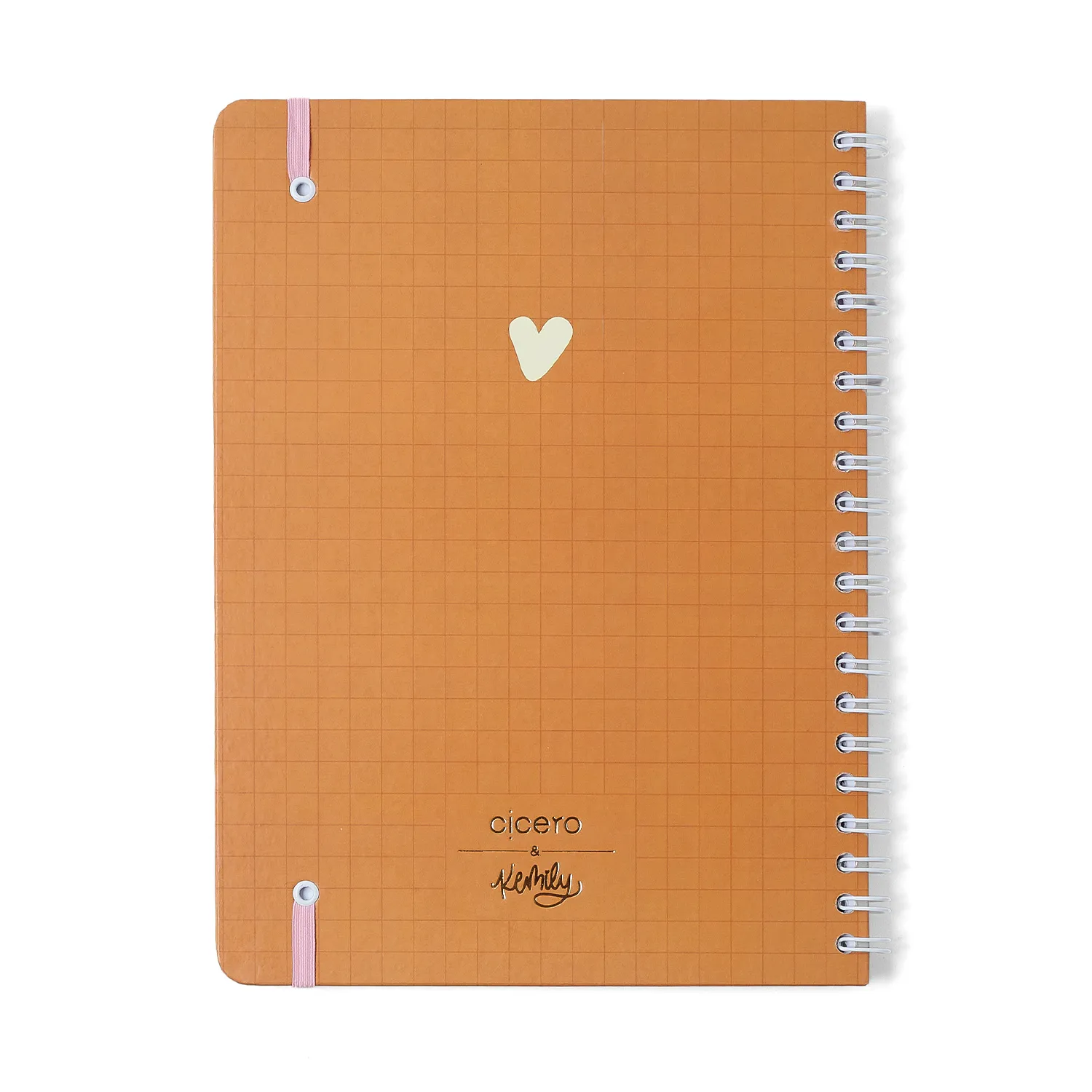 Caderno Espiral Universitário Kemily Pautado Organize Caramelo 1 Matéria 80 fls