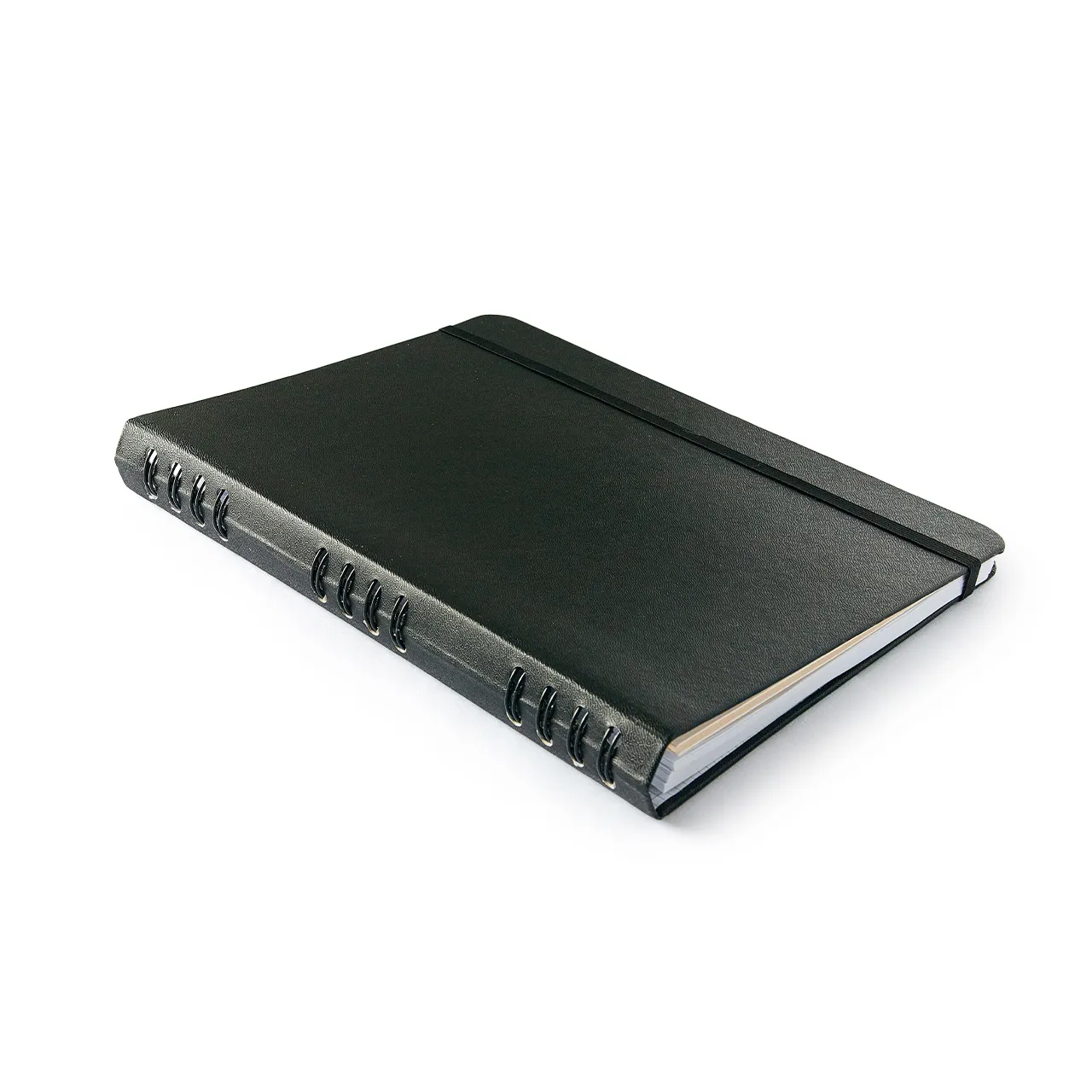 Caderno Organizador Duo Clássica Pautado & Pontado 17X24 Preta