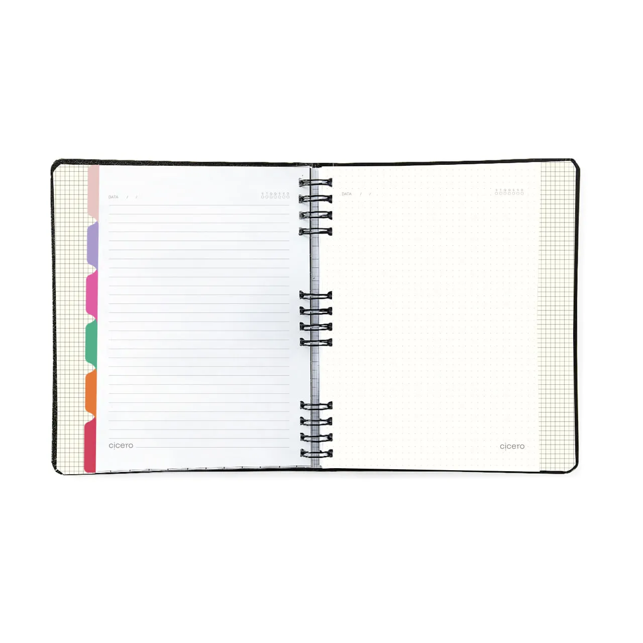 Caderno Organizador Duo Melissa Pautado & Pontado 17X24 Favo De Abelhas