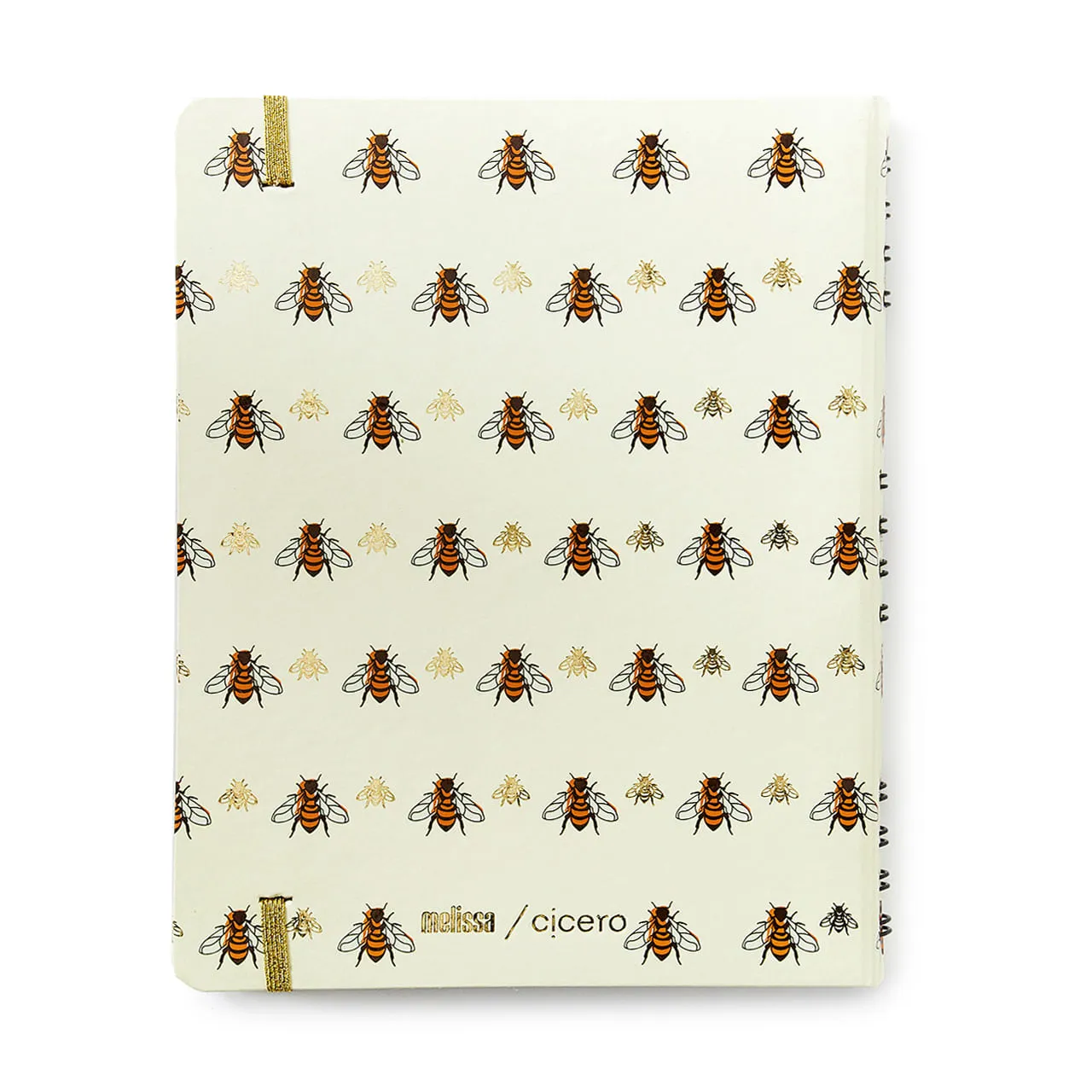 Caderno Organizador Duo Melissa Pautado & Pontado 17X24 Favo De Abelhas