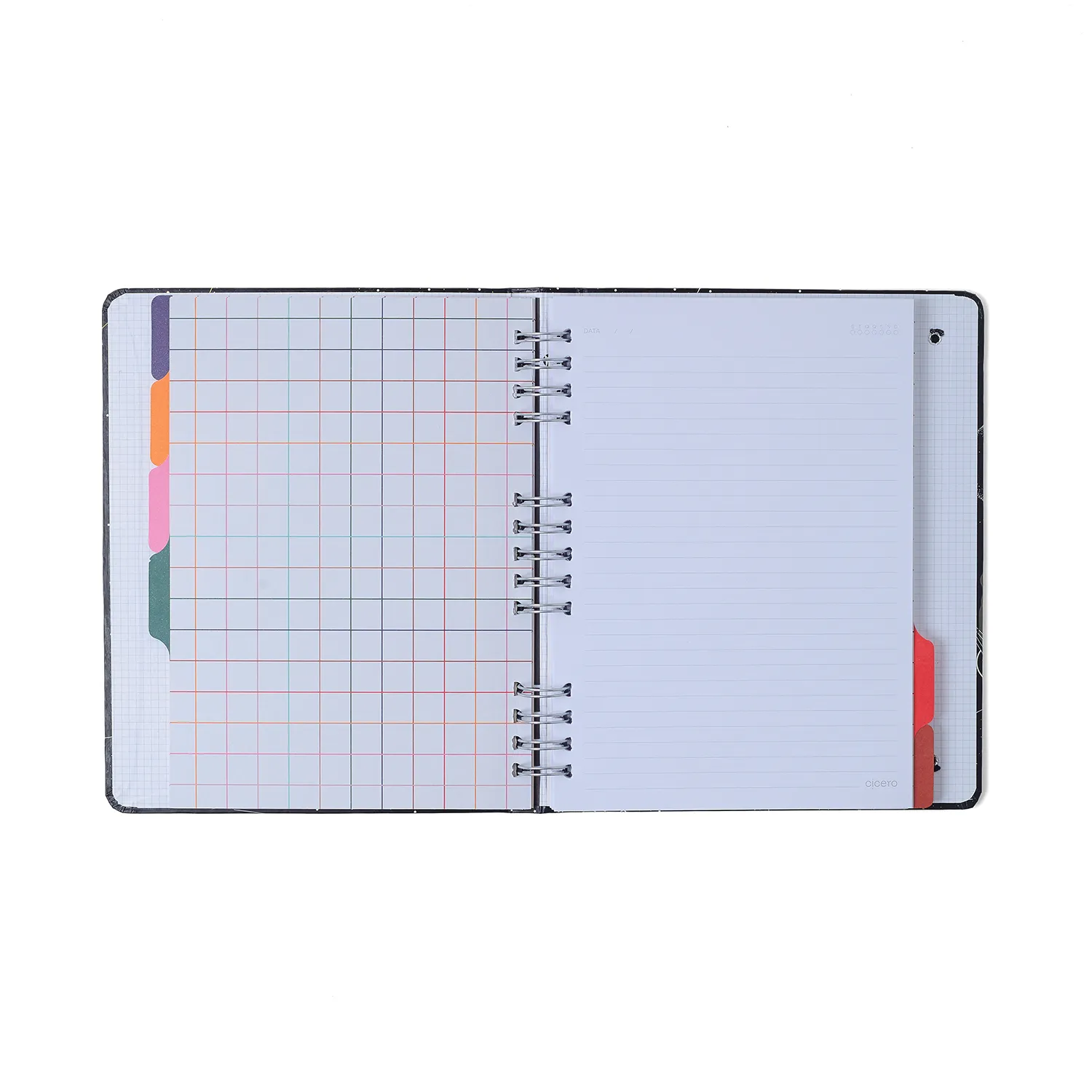 Caderno Organizador Frutare Pautado & Pontado 17X24 Arranjo