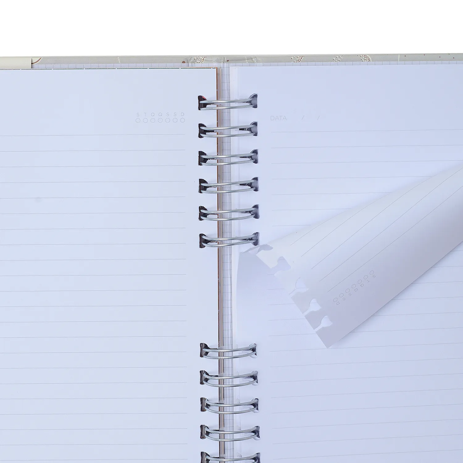 Caderno Organizador Frutare Pautado & Pontado A5 Limão Siciliano
