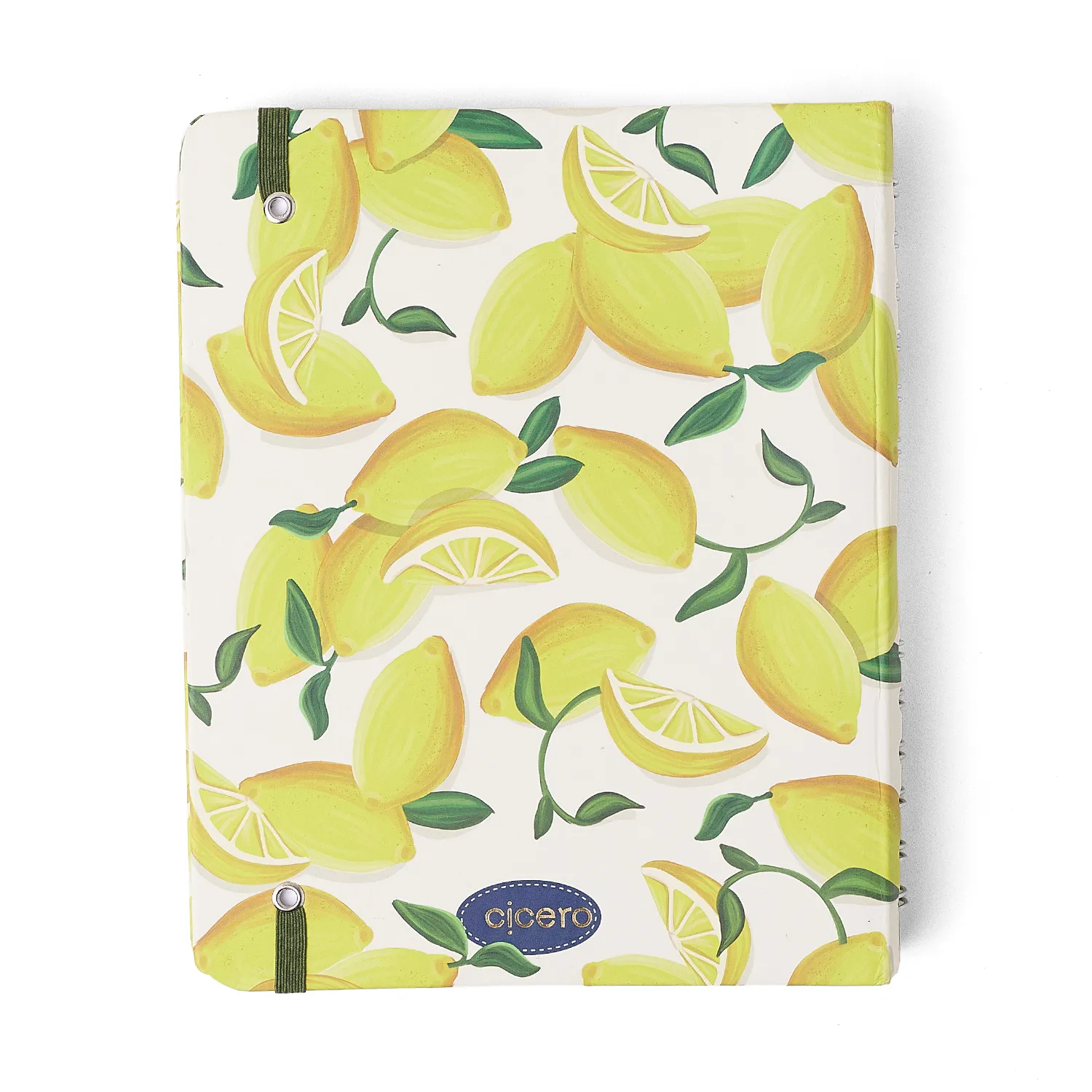 Caderno Organizador Frutare Pautado & Pontado A5 Limão Siciliano