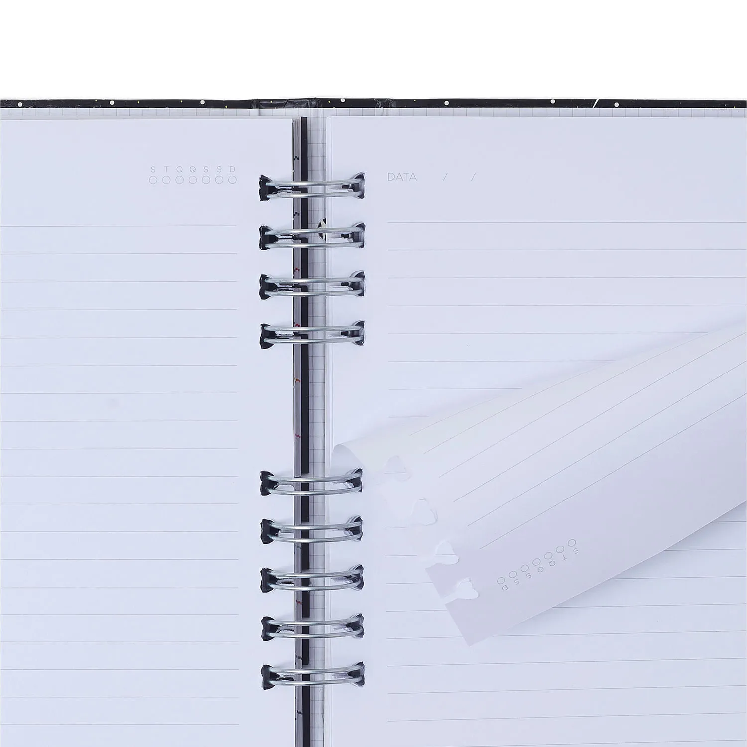 Caderno Organizador Haras Pautado & Pontado 17x24 Selaria Preto