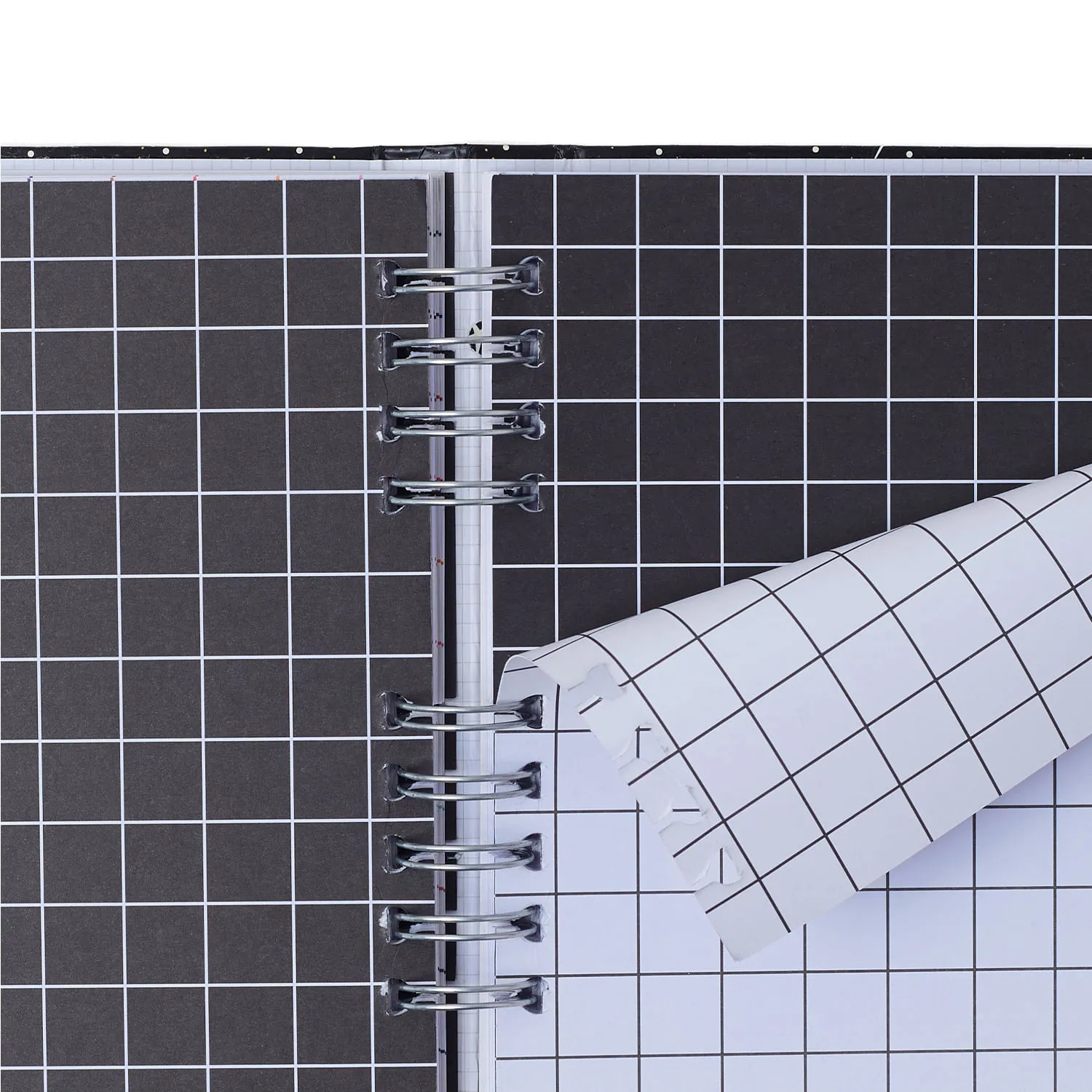 Caderno Organizador Haras Pautado & Pontado 17x24 Selaria Preto