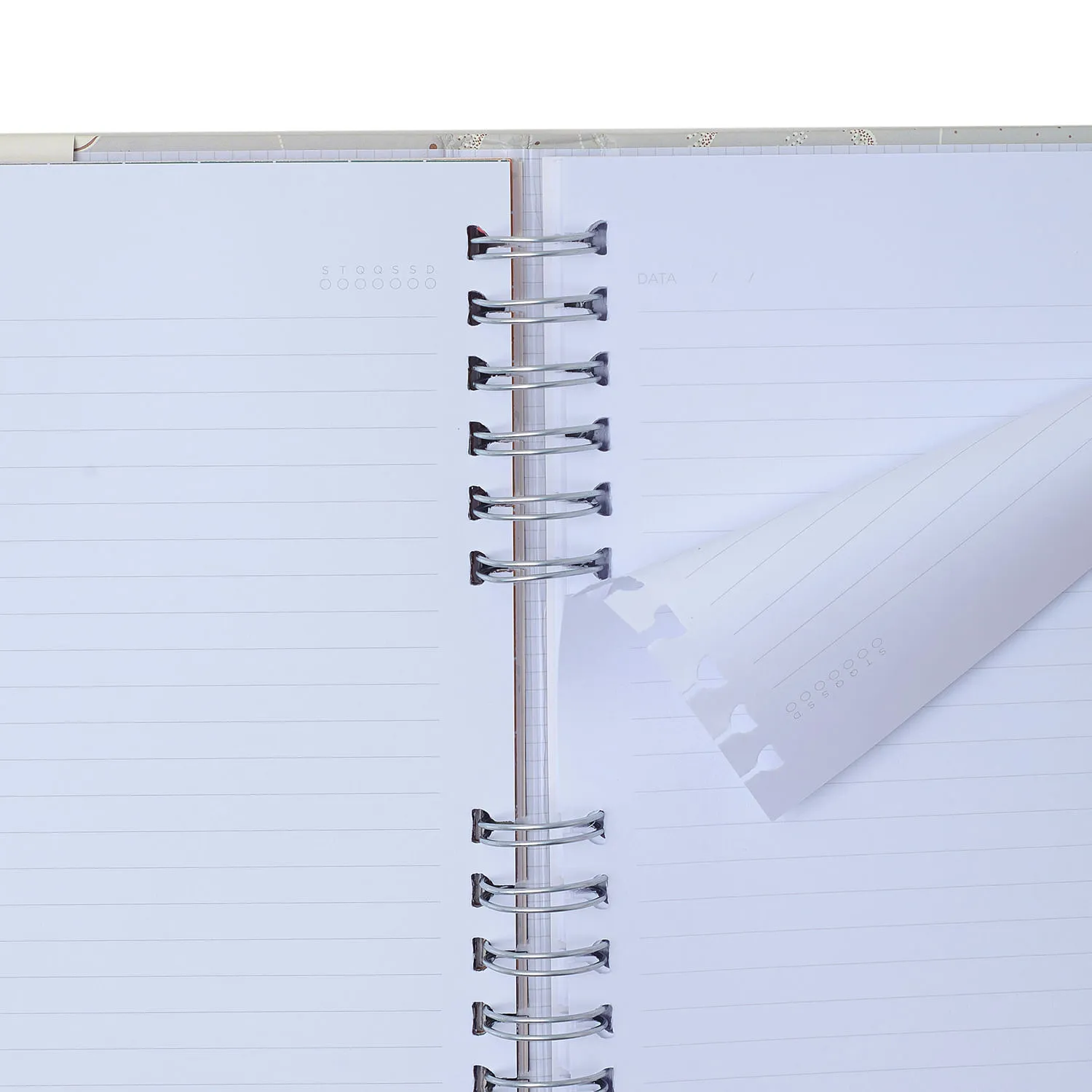Caderno Organizador Jardim Pautado & Pontado A5 Preto