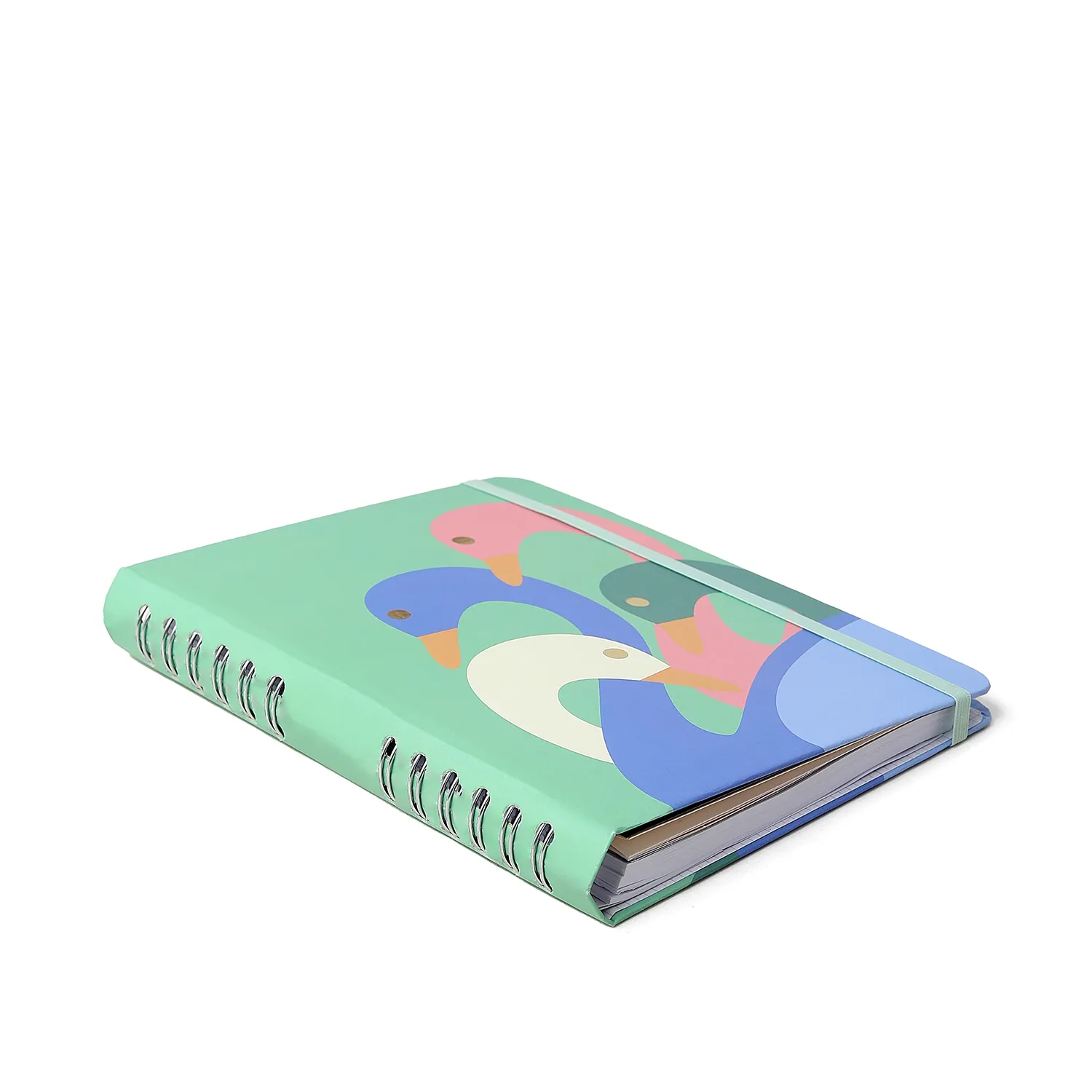 Caderno Organizador Lagoa Pautado & Pontado A5 Pedalinho