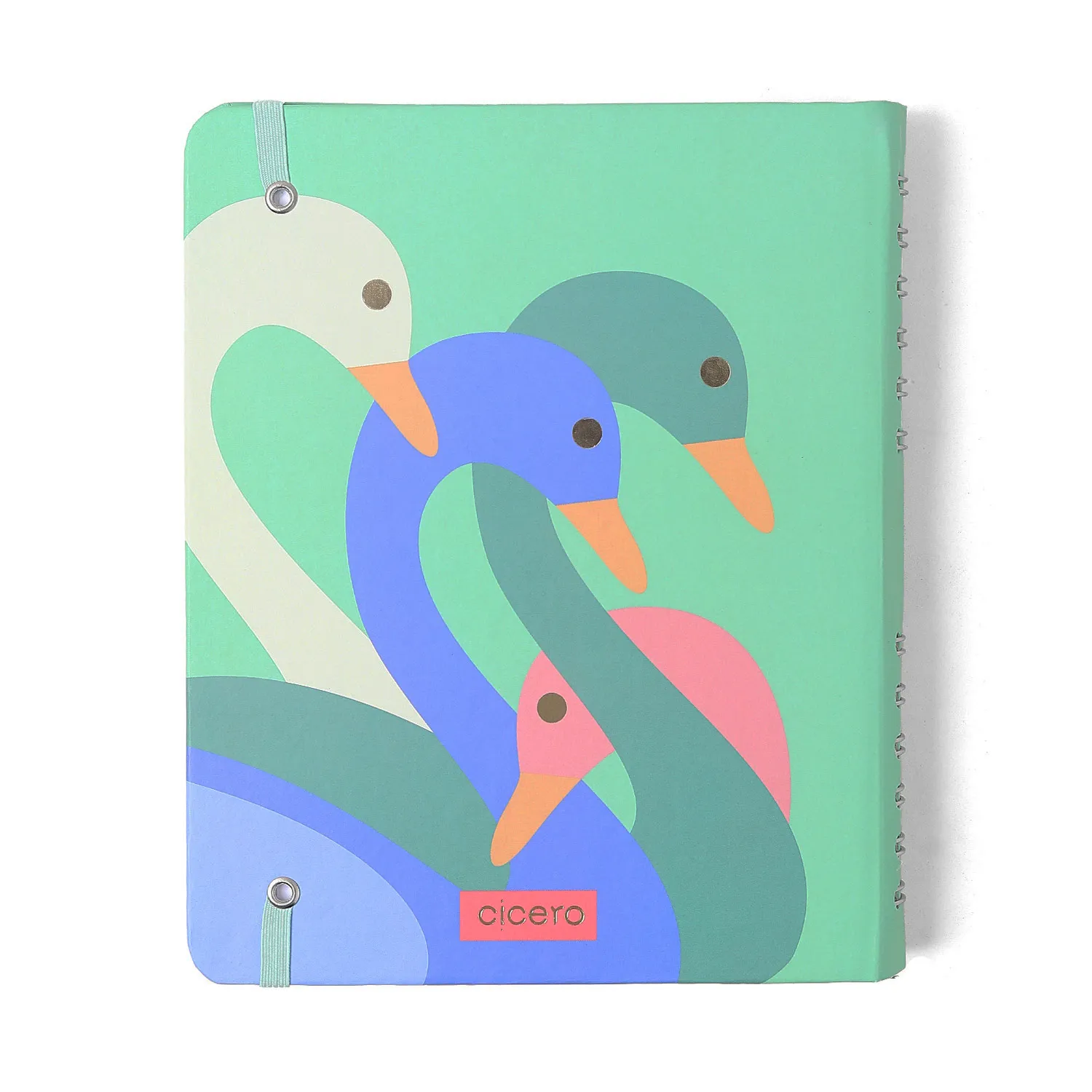 Caderno Organizador Lagoa Pautado & Pontado A5 Pedalinho