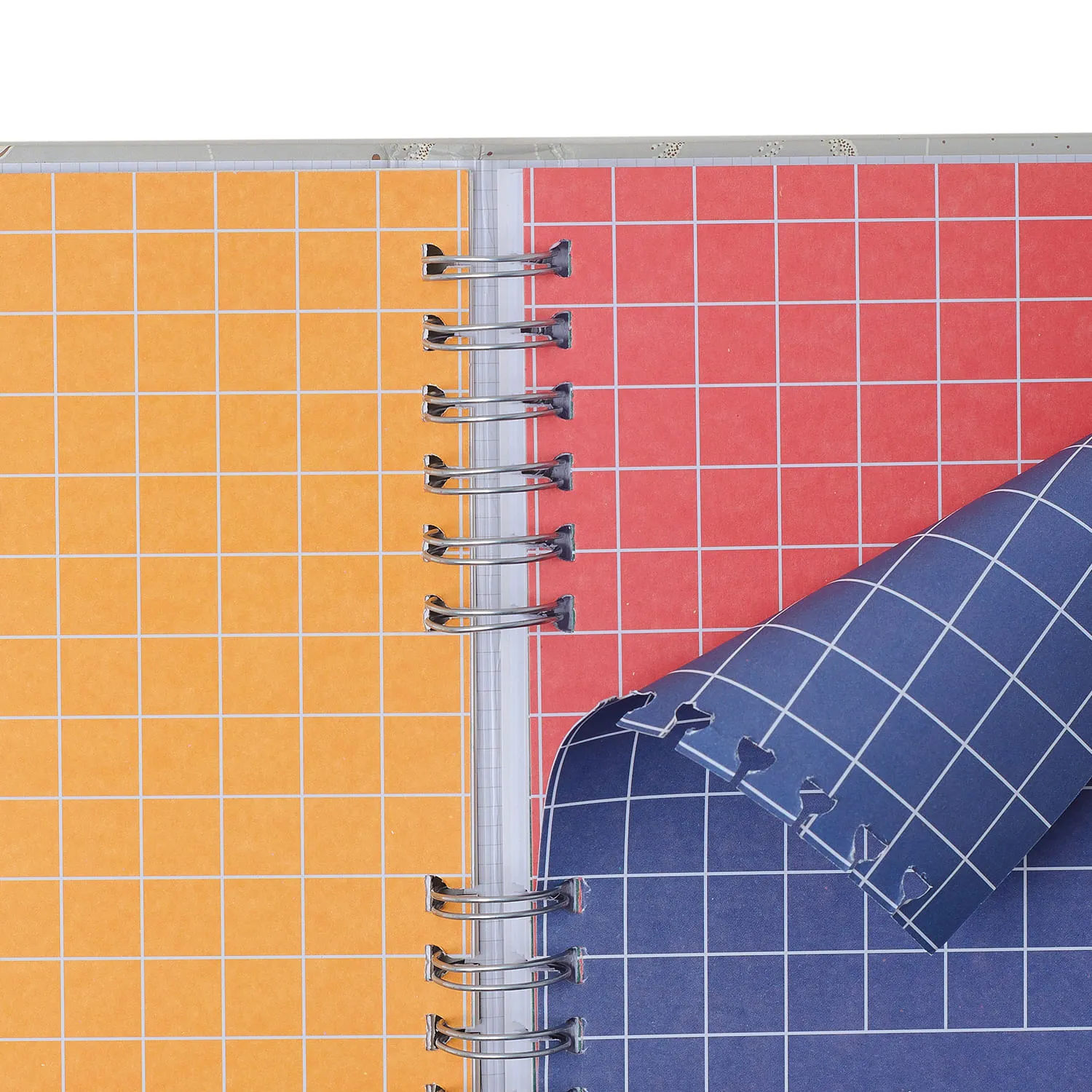 Caderno Organizador Lagoa Pautado & Pontado A5 Pedalinho