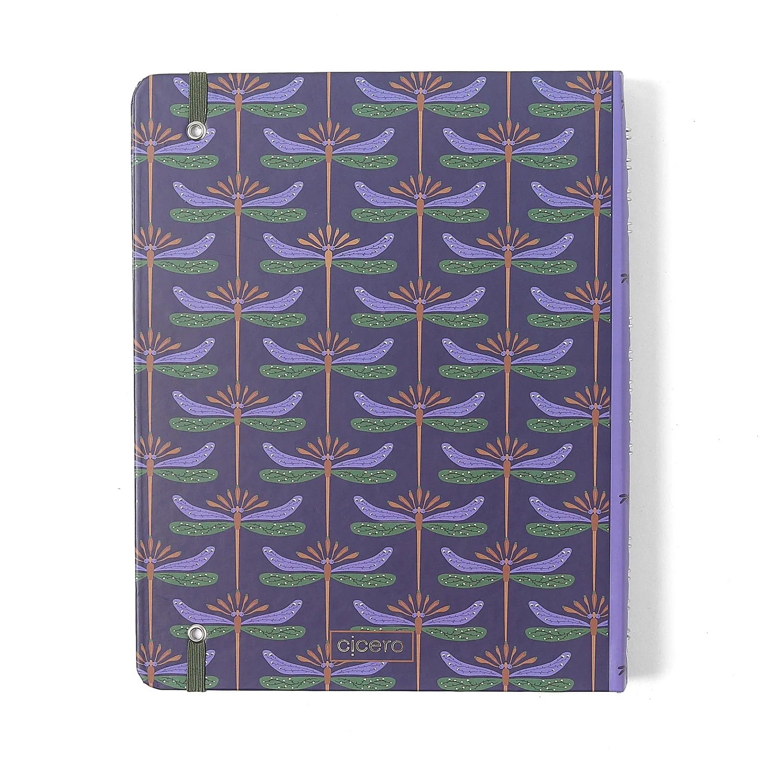 Caderno Organizador Libélulas Pautado & Pontado 17x24 Azul